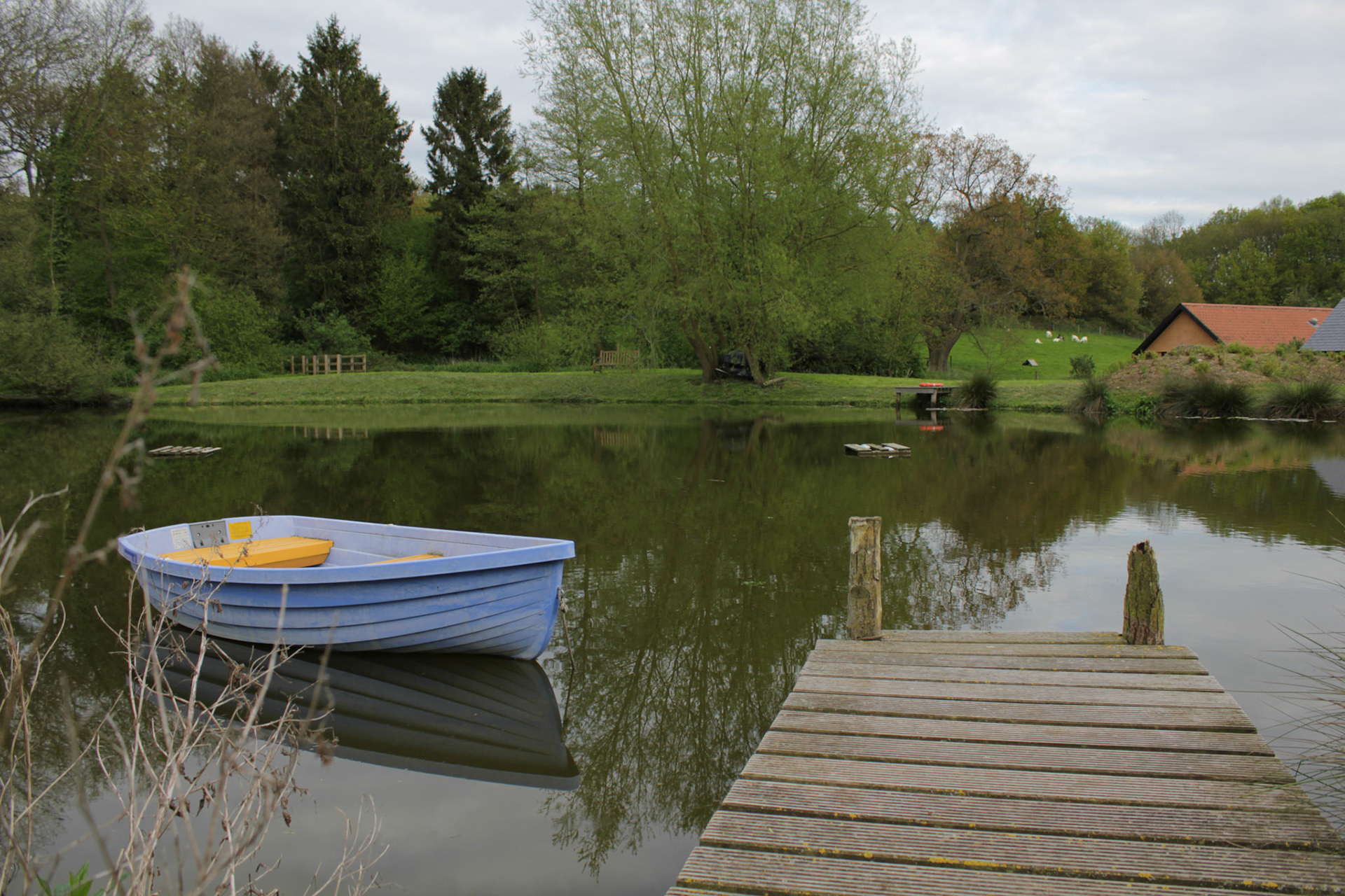 Sussex millpond, 2012