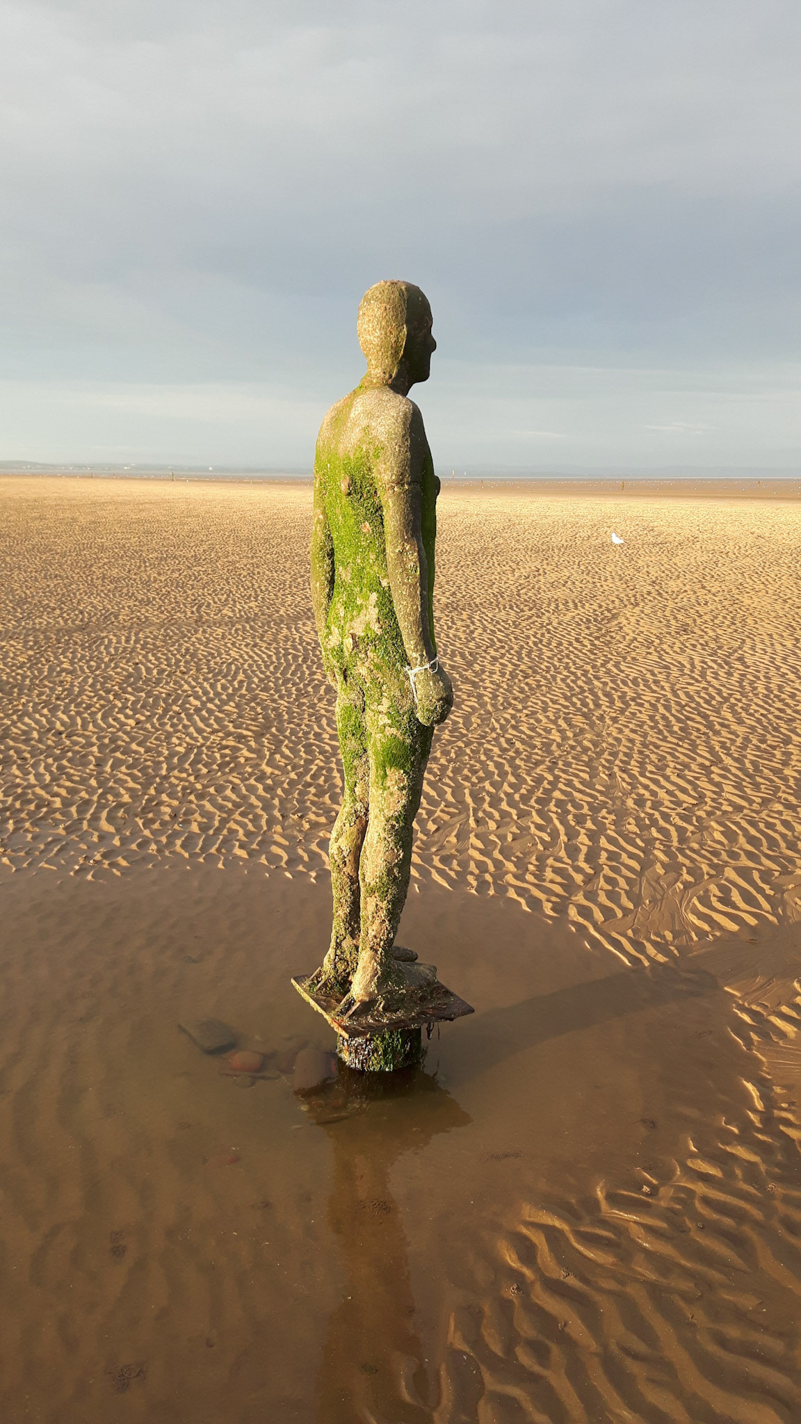 Another Place, Crosby Beach, 2016