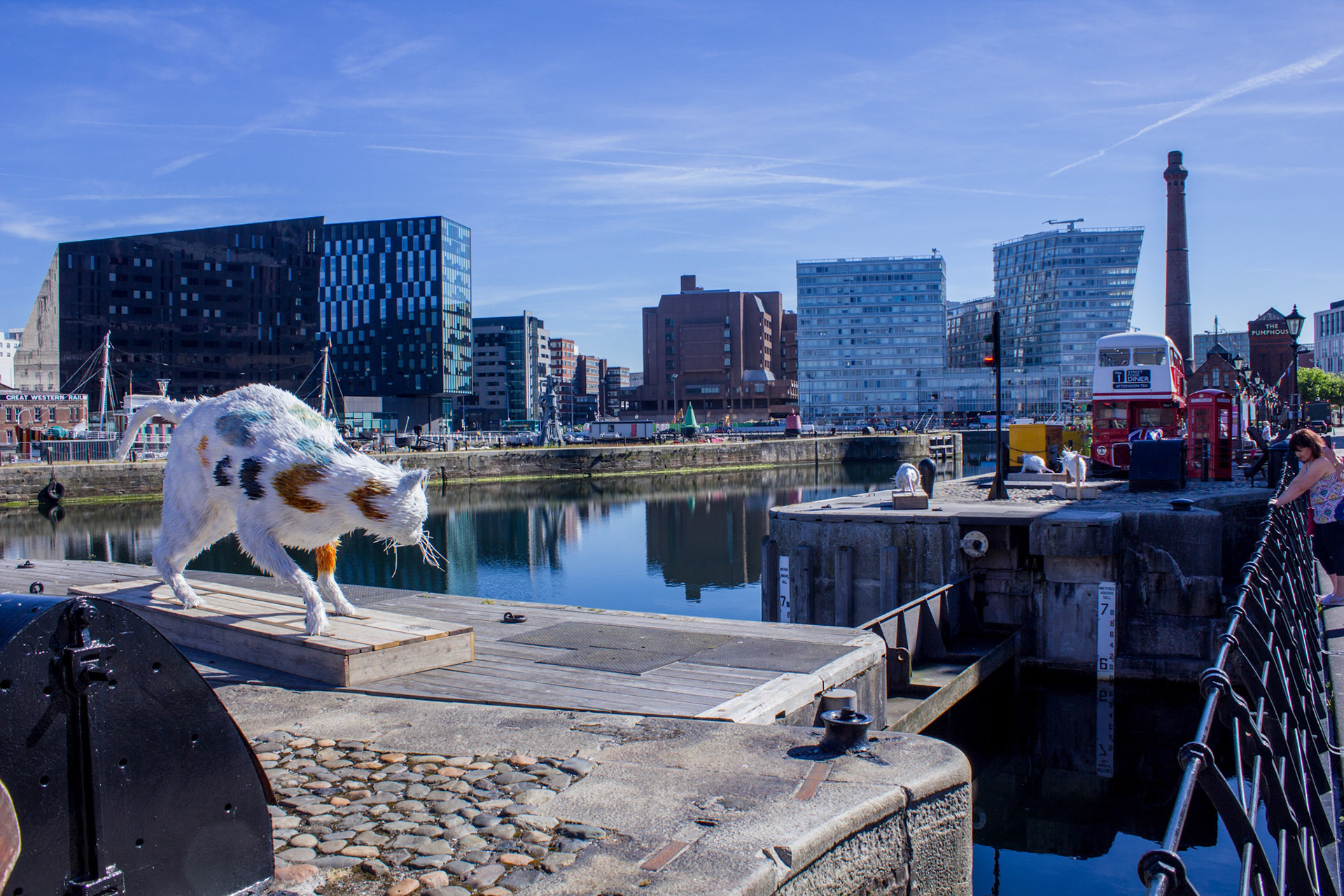 Feral cat and rats sculpture, Albert Dock, 2018