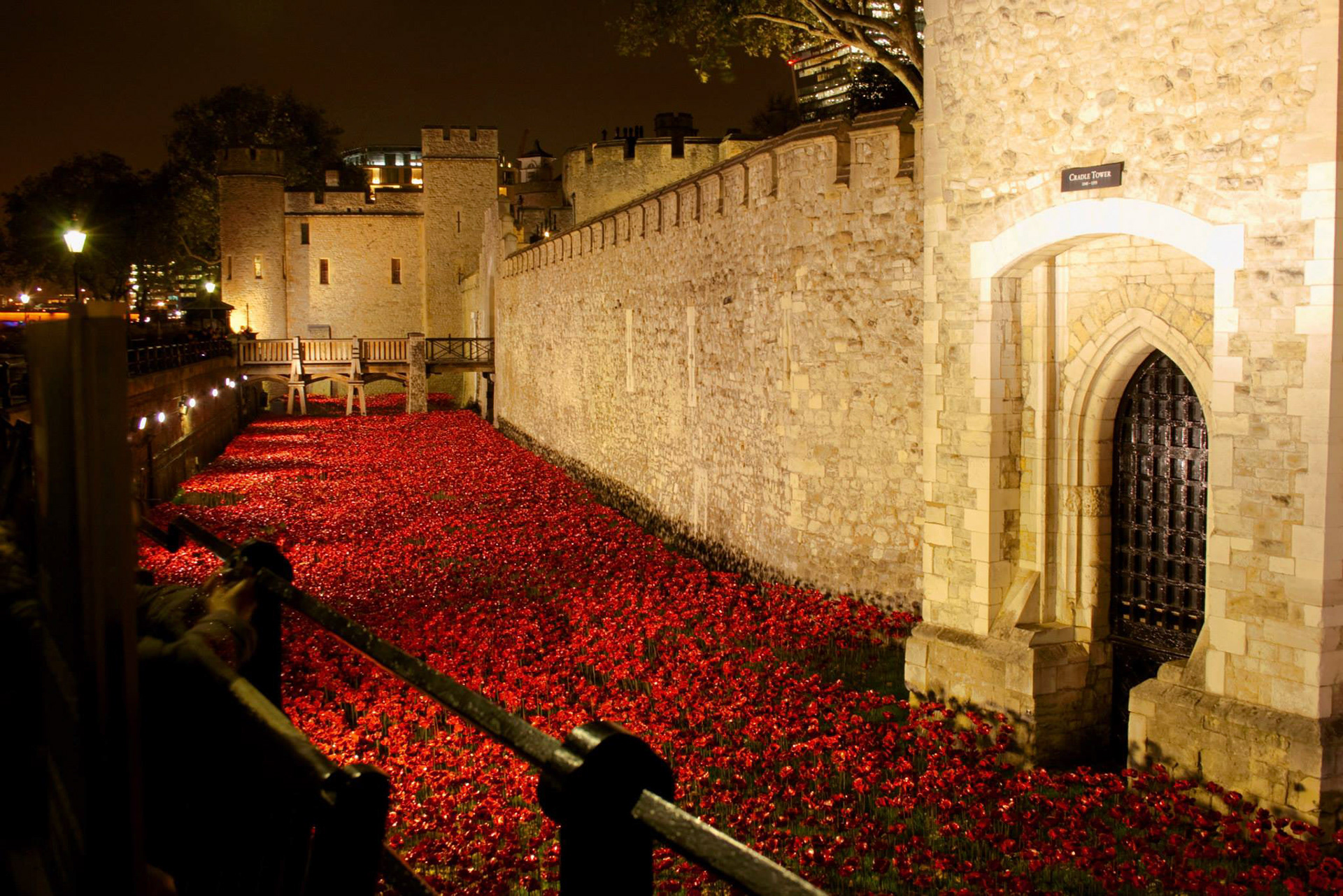 Poppies at the Tower of London, 2014