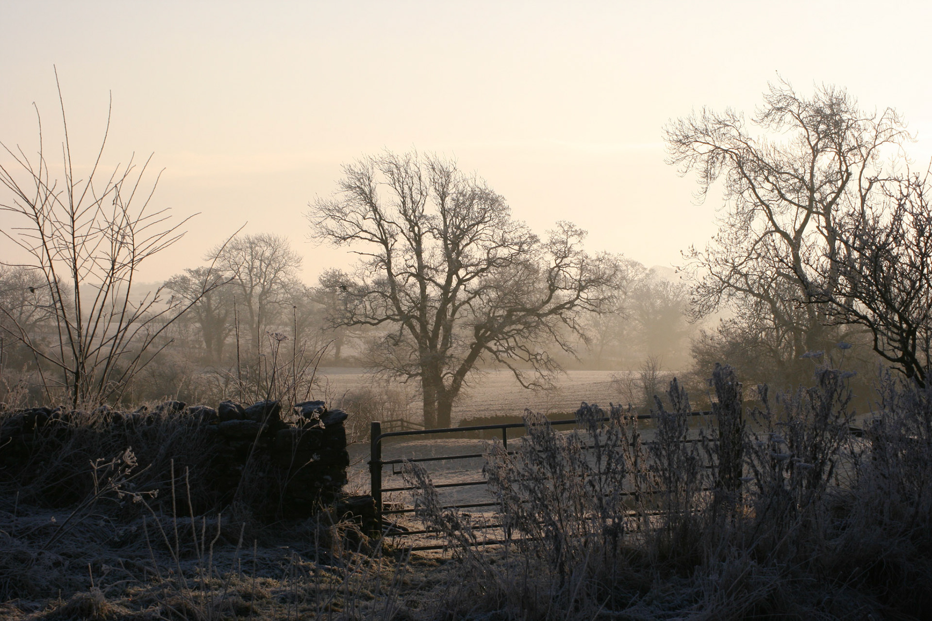 Frosty morning, Newby, Cumbria, 2009