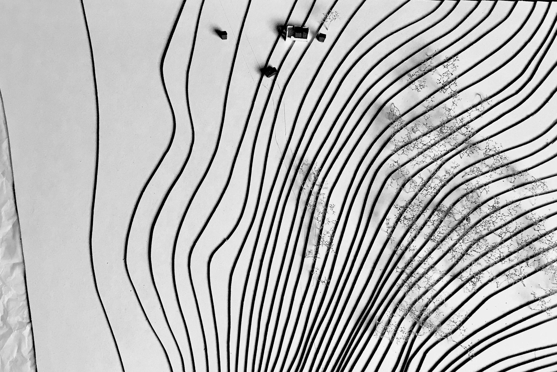 Maquette, le site dialoguant avec le projet