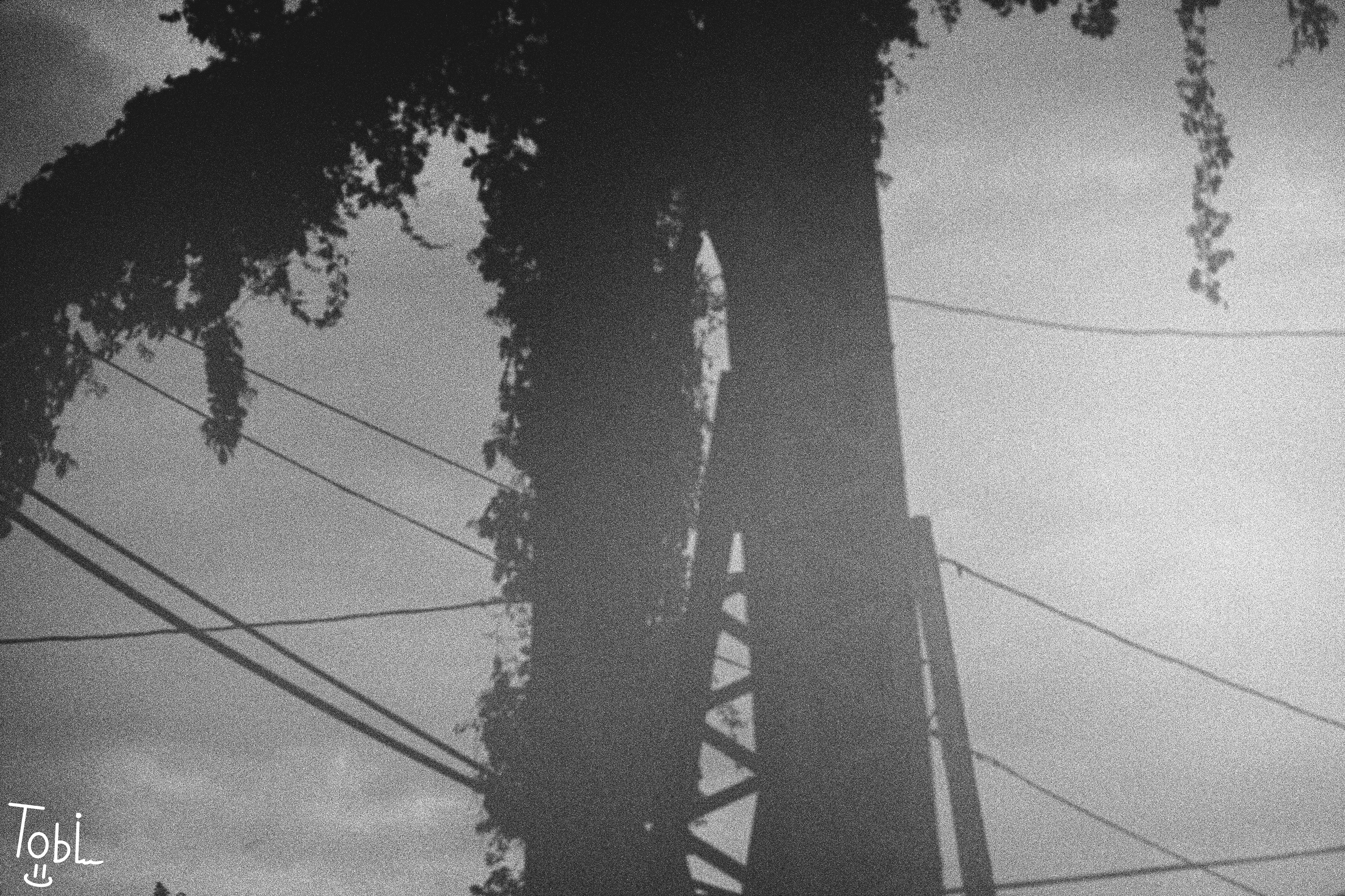 This photo was actually taken on mistake but actually turned out cool and I like it personally