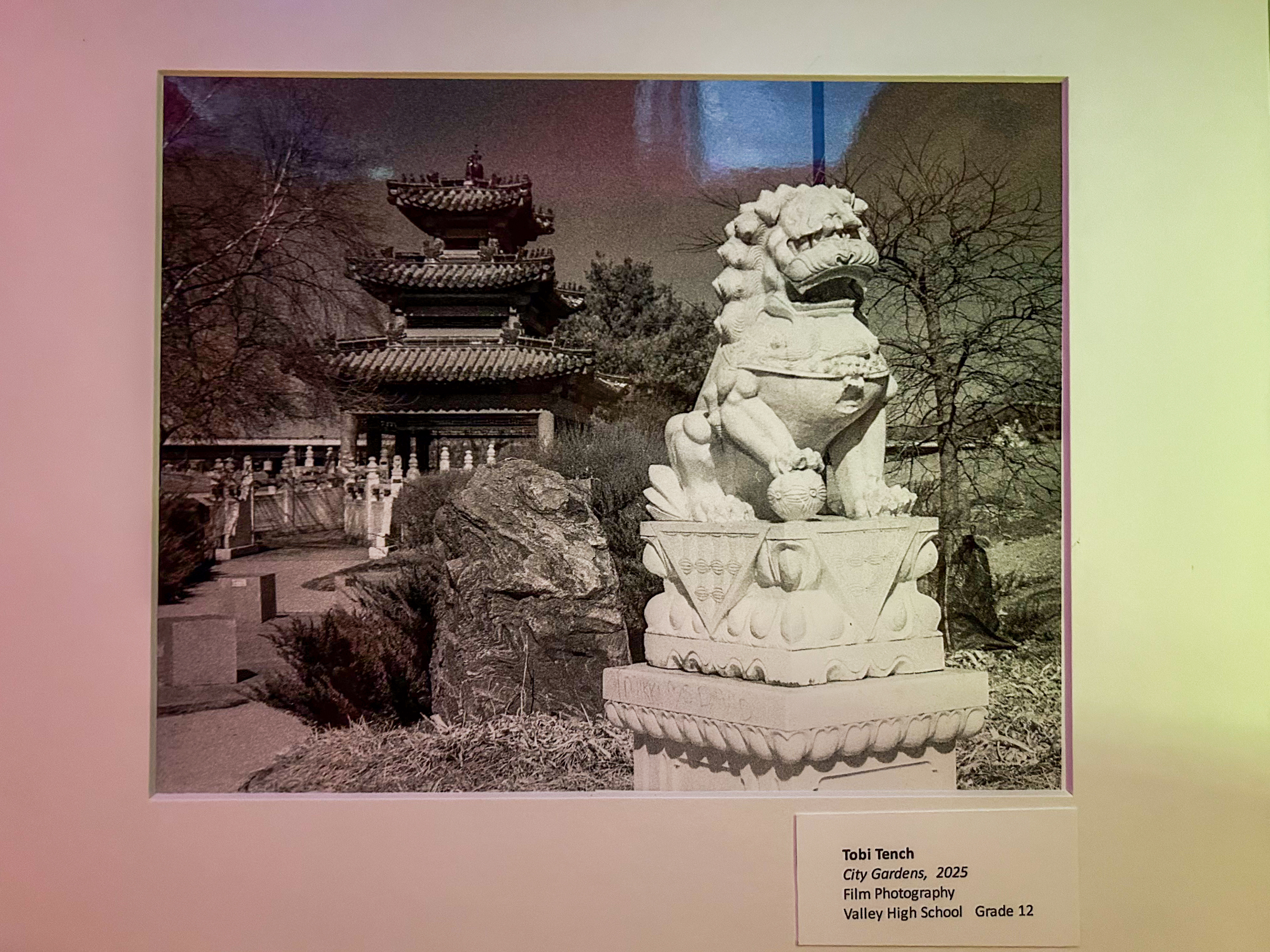 shot using a ren lens filter!