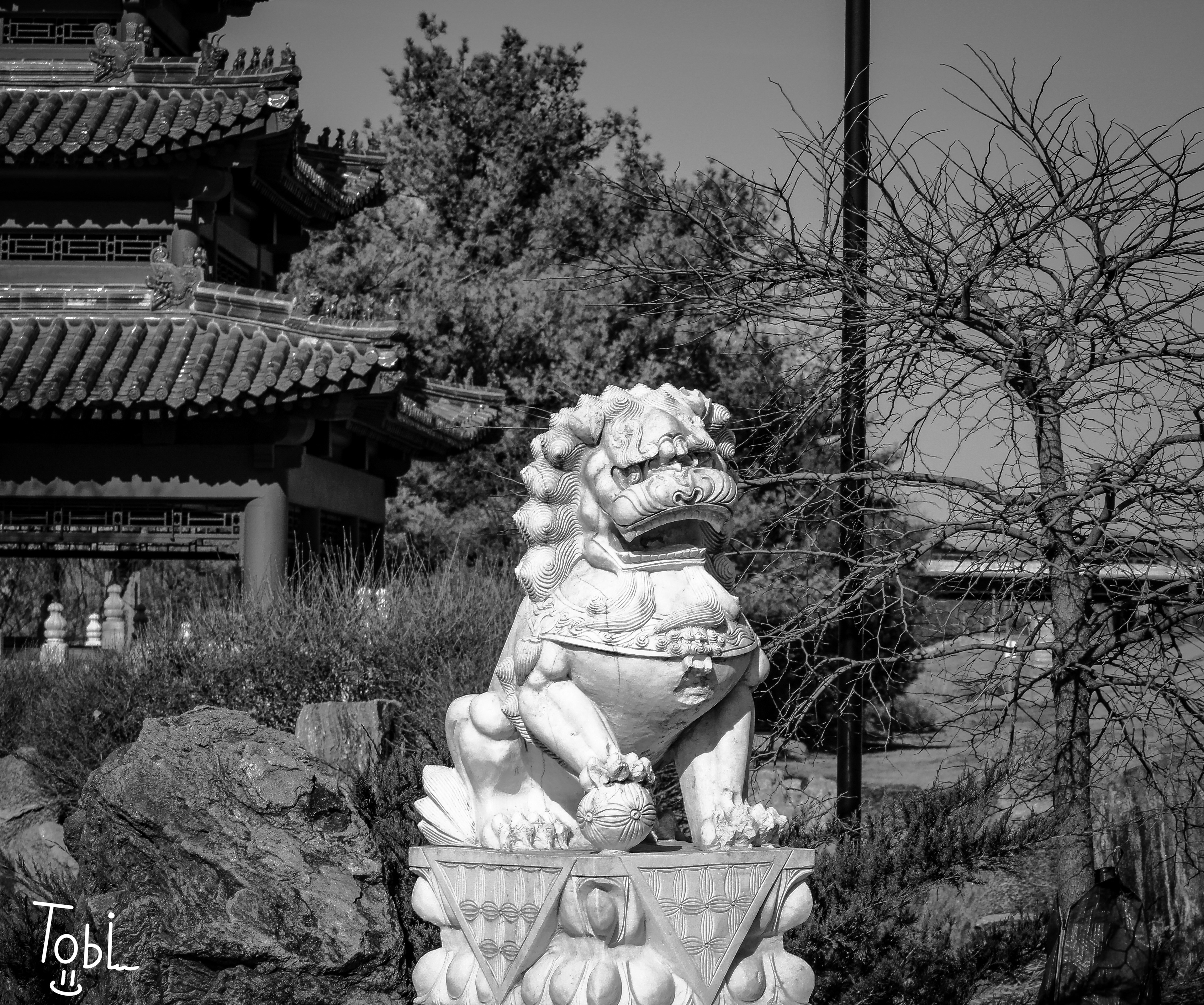 I took a similar one to this on my film camera but I also like this one 