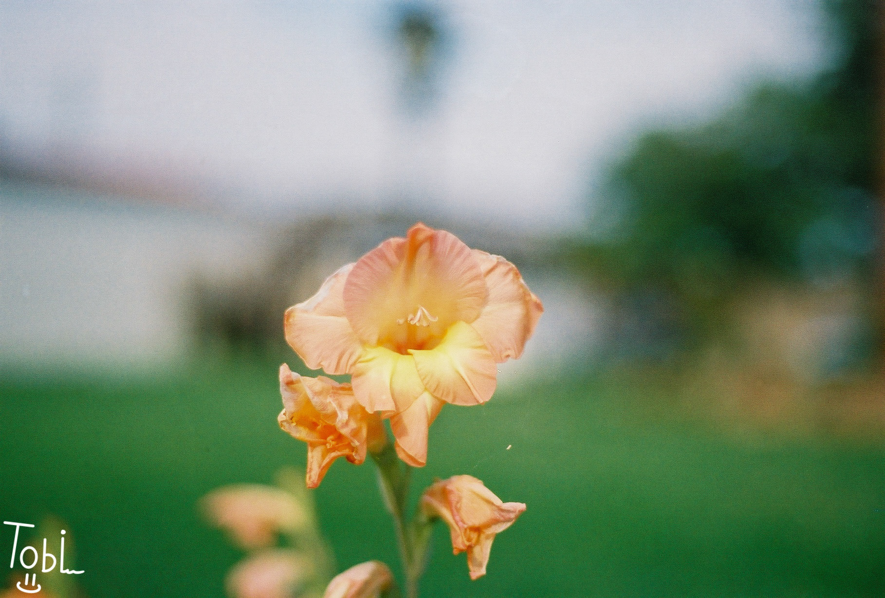 I love the background blur on this one!