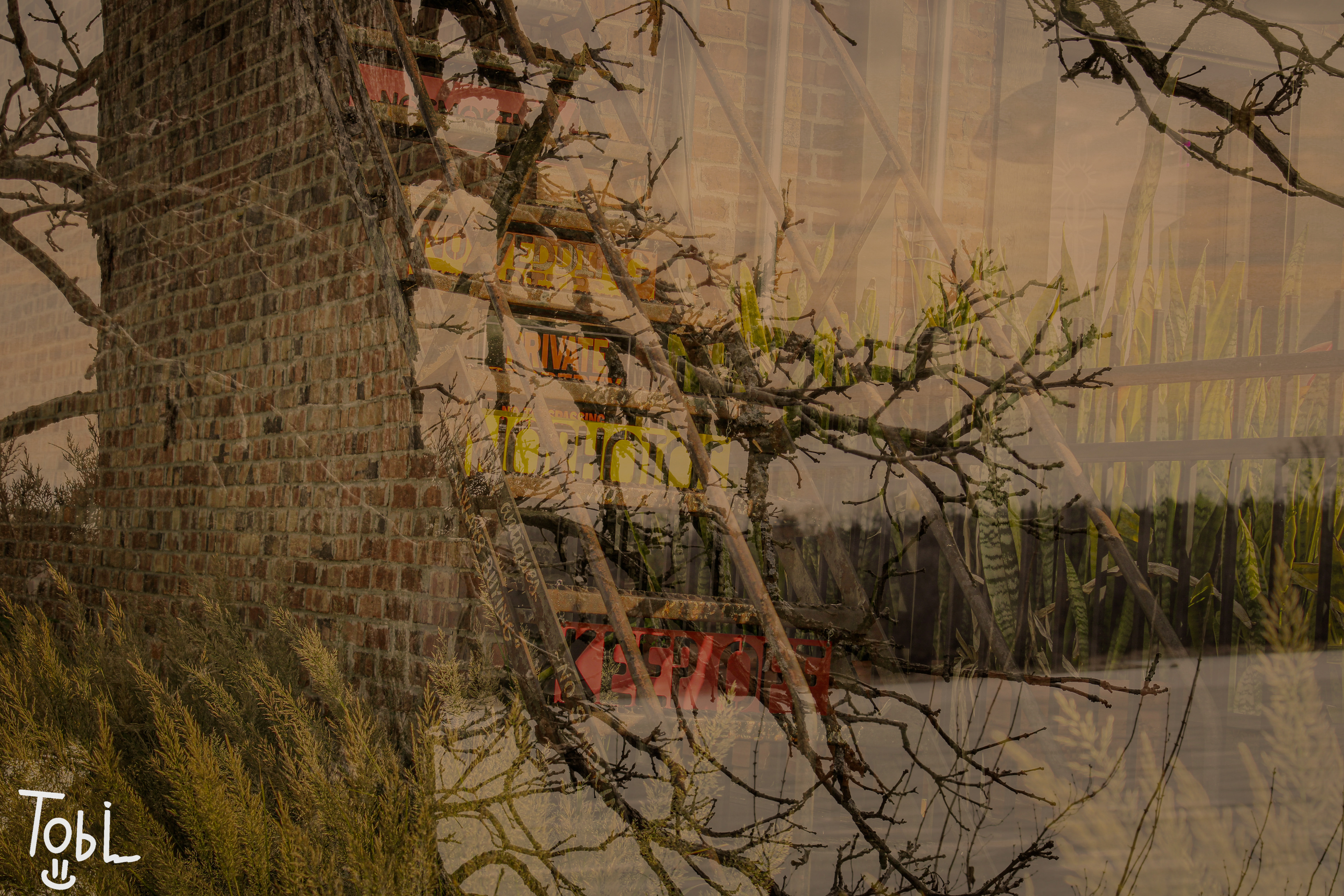 I overlayed 2 photos in photoshop for this one