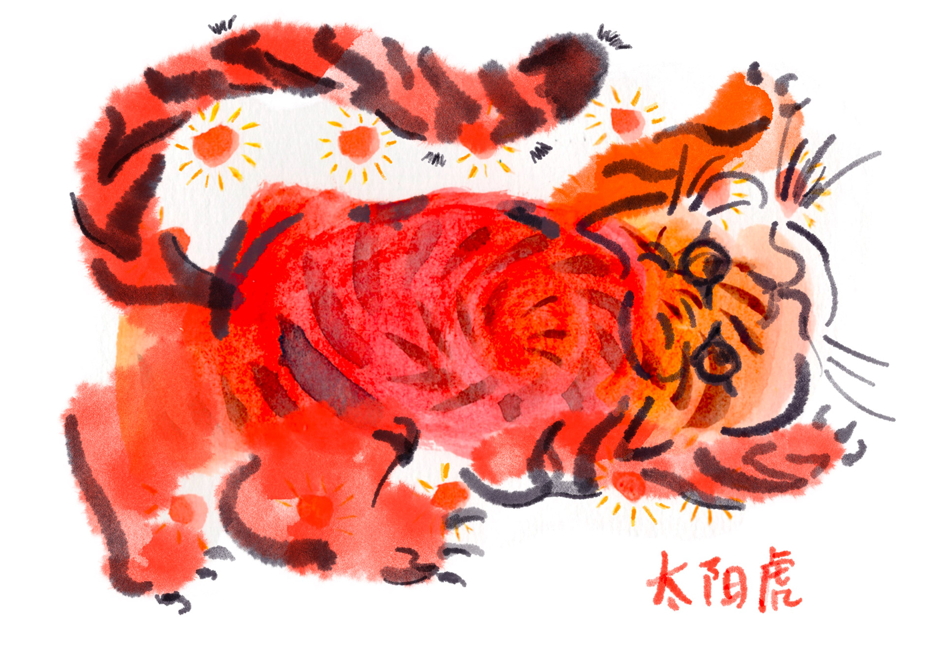 Tai Yang Hu (The Sun Tiger)