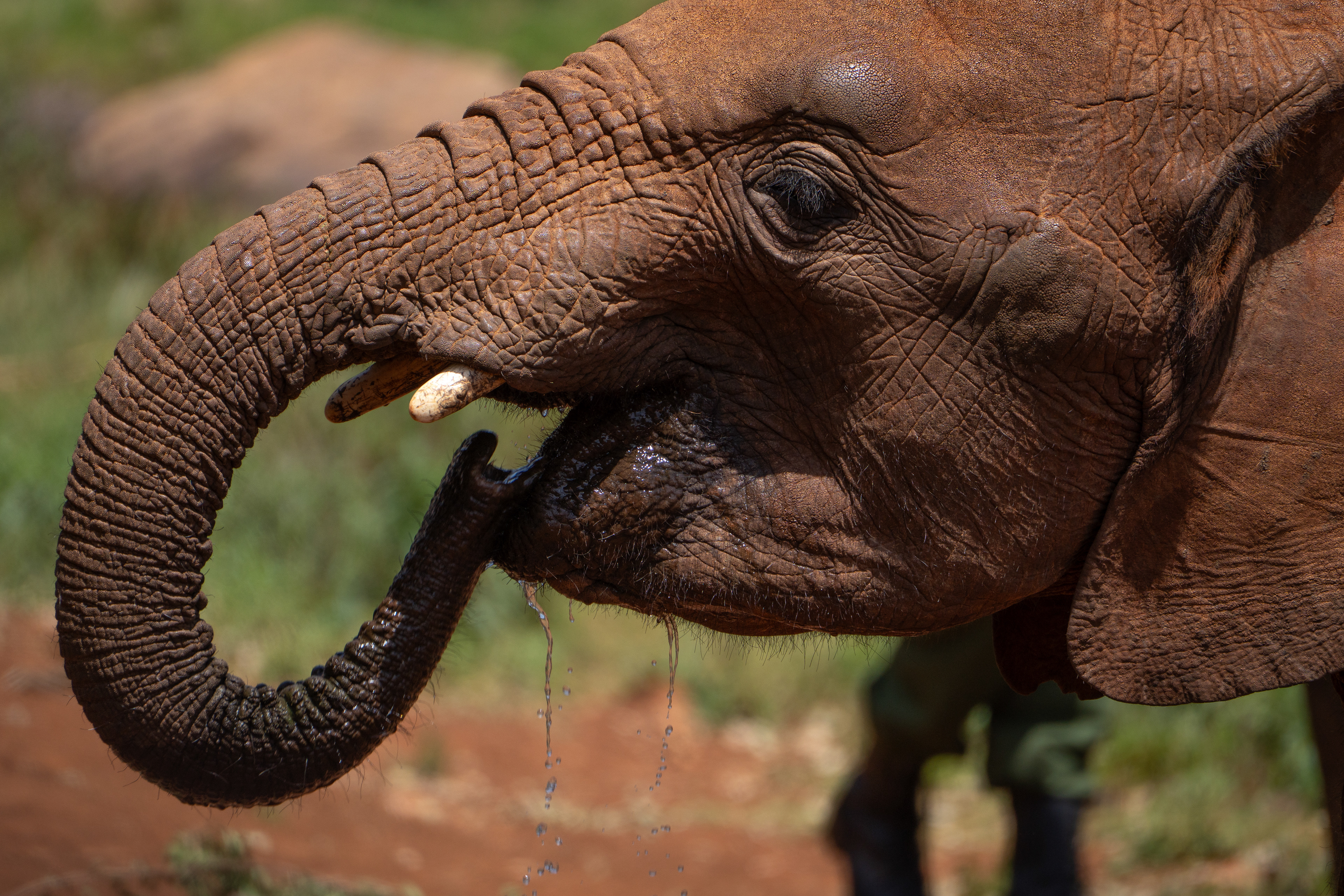 Kenya
