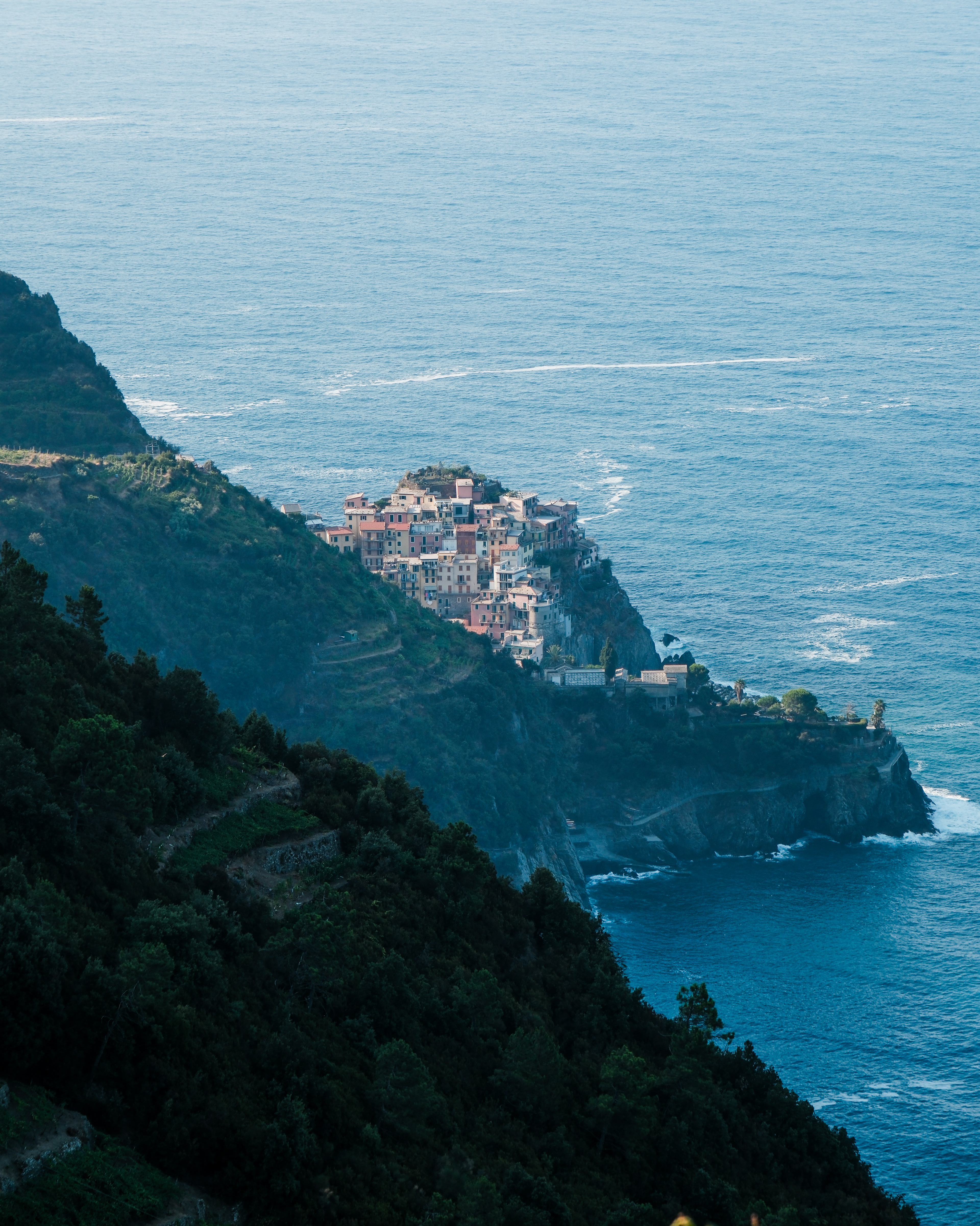 Manarola