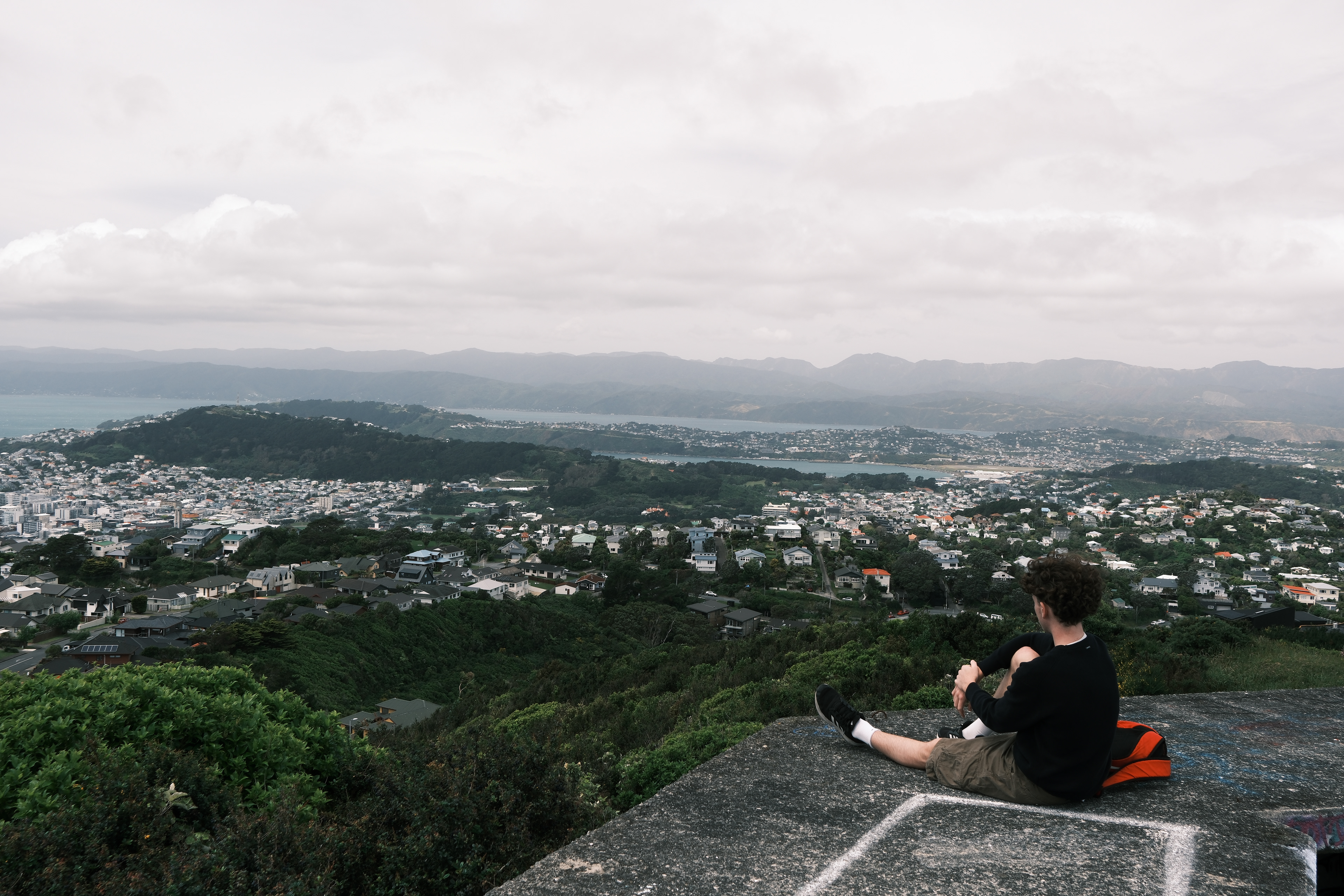Polhill Reserve, anti-aircraft gun batteries 