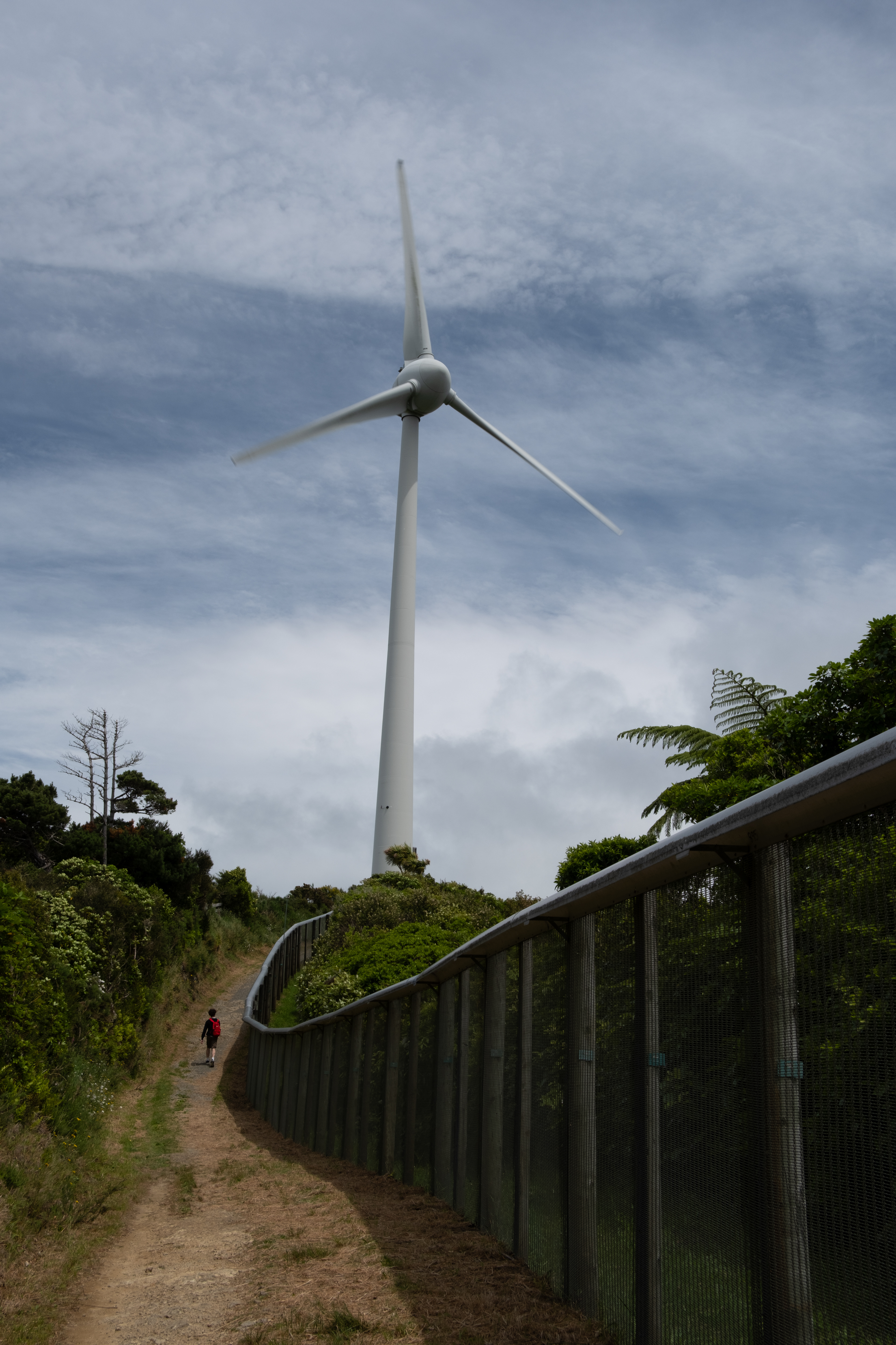 Brooklyn Wind Turbine, Te Kopahou Reserve