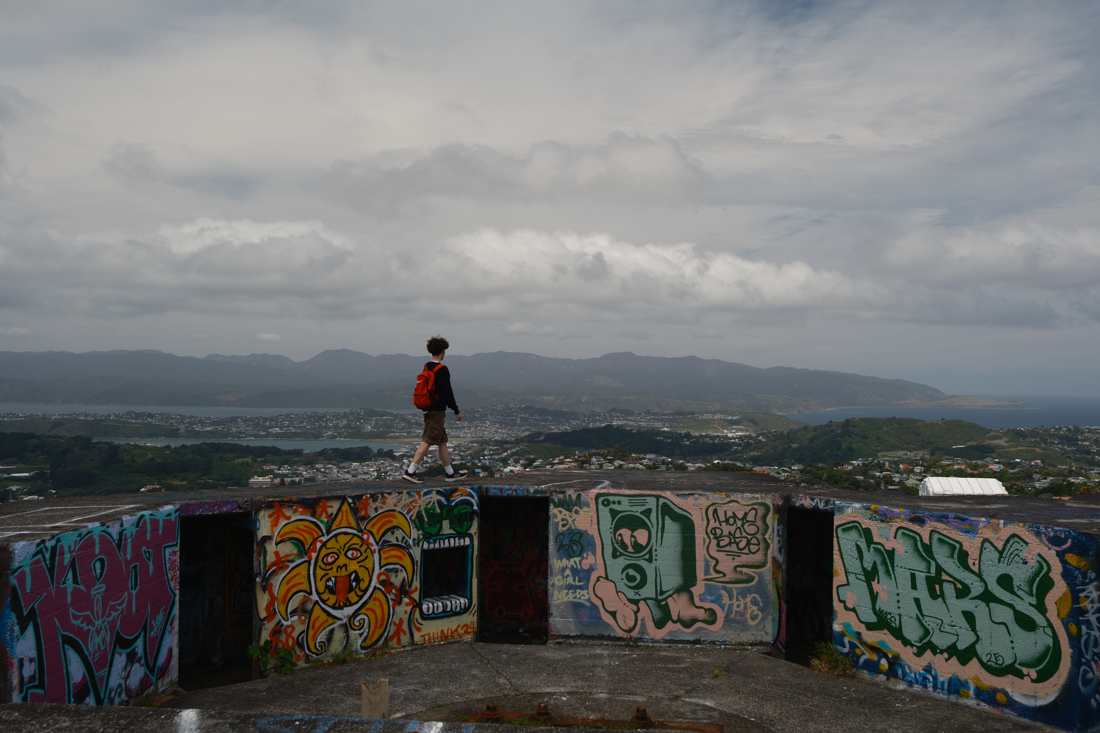 Polhill Reserve, anti-aircraft gun batteries 