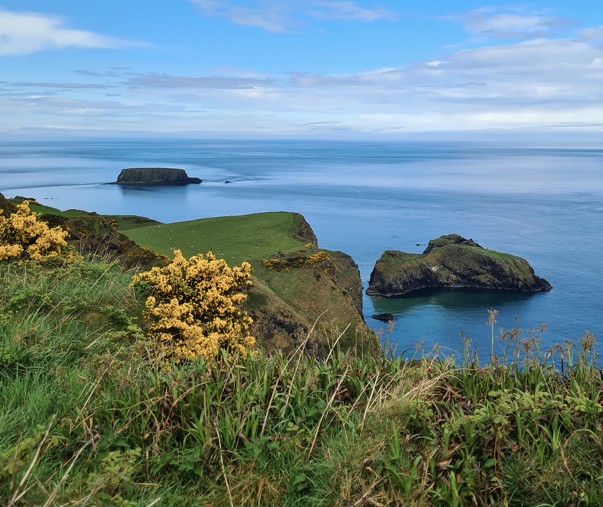 Carrick-a-Rede Island, County Antrim