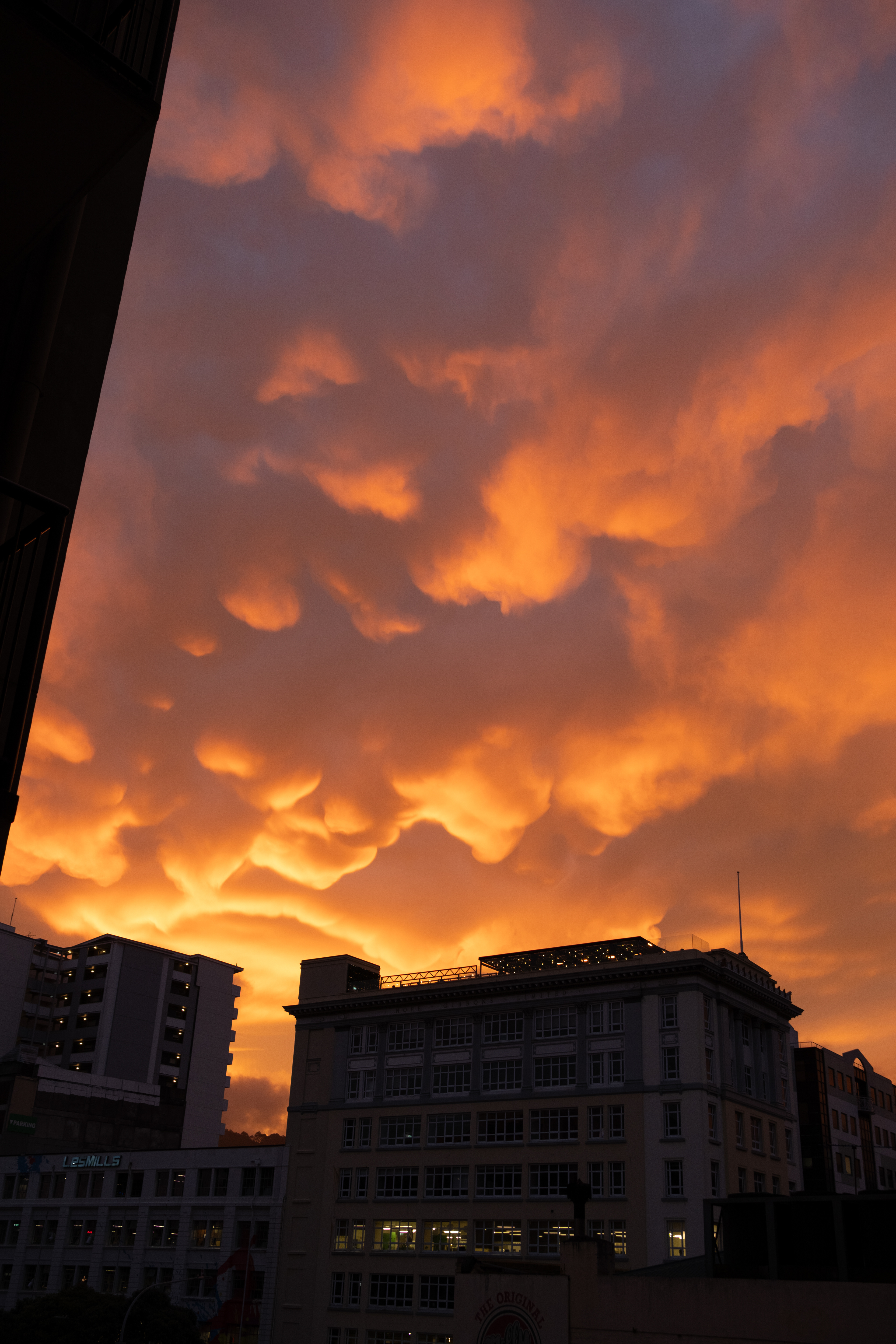 Mammatus clouds over Wellington at sunset, briefly.