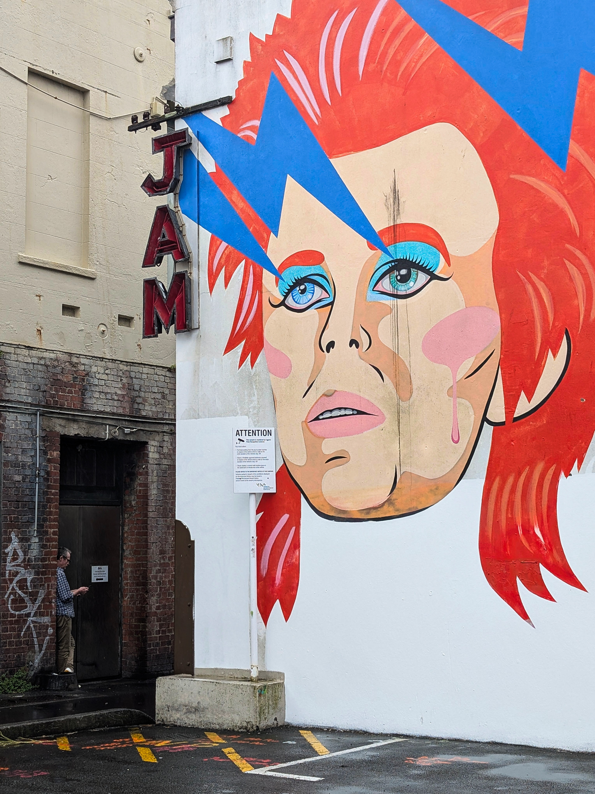 Ziggy watches over us all  (mural artist Xoe Hall)
