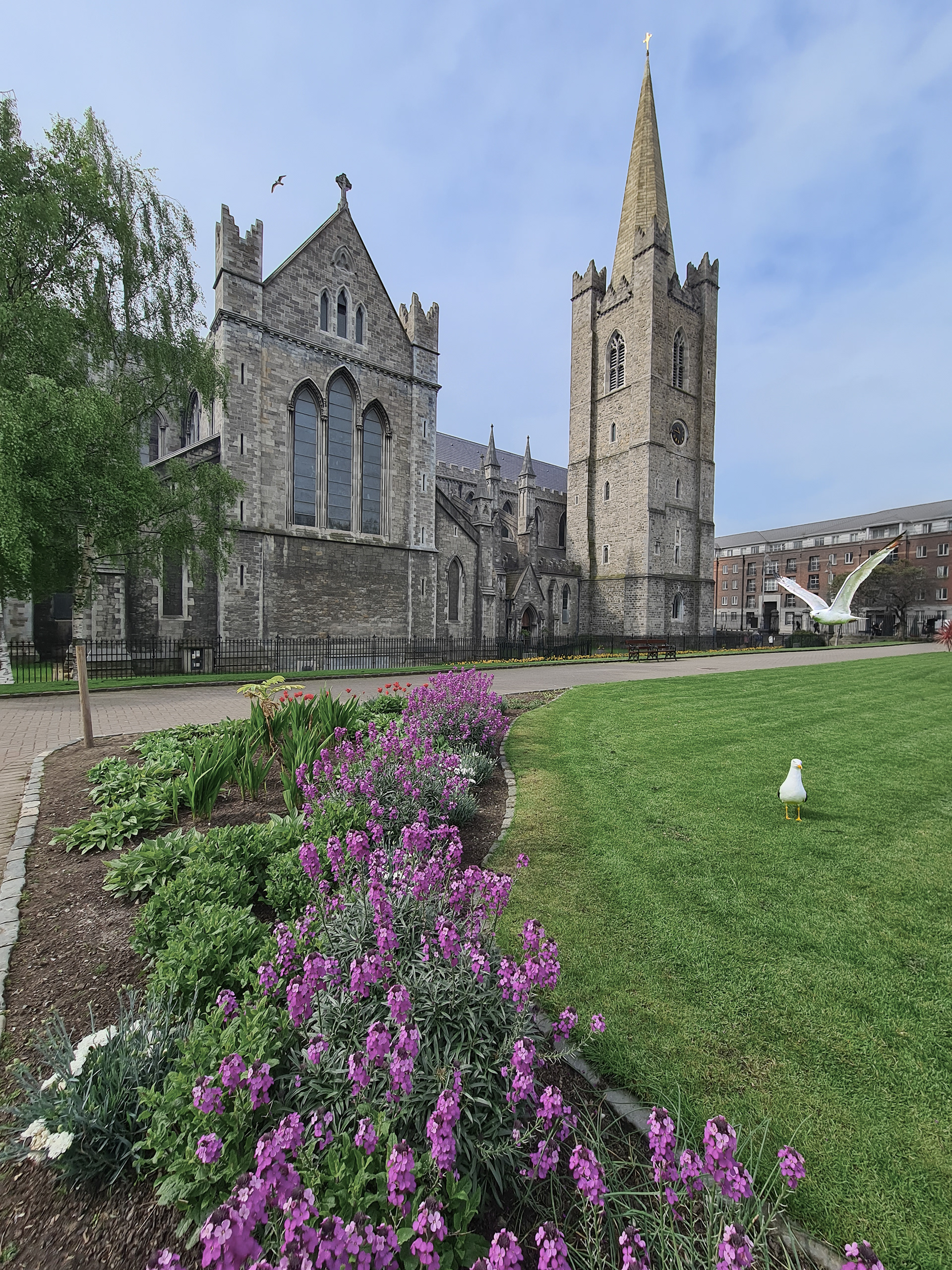 St Patrick's Cathedral