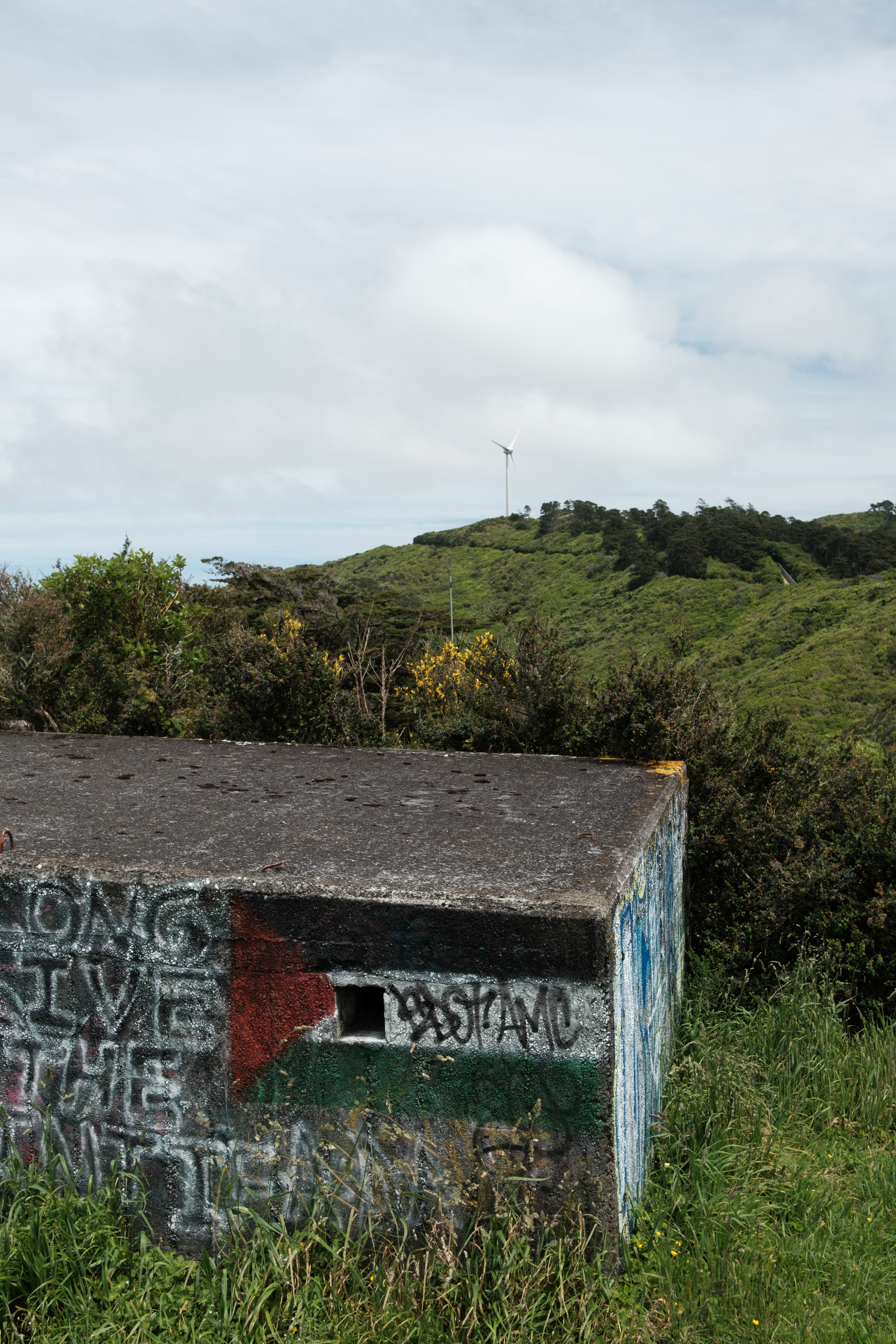 Brooklyn Wind Turbine, Te Kopahou Reserve