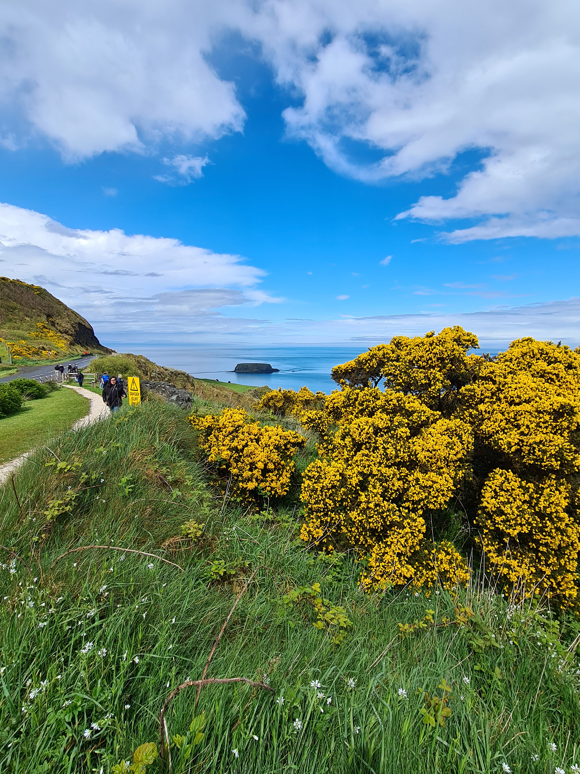 Carrick-a-Rede Island, County Antrim
