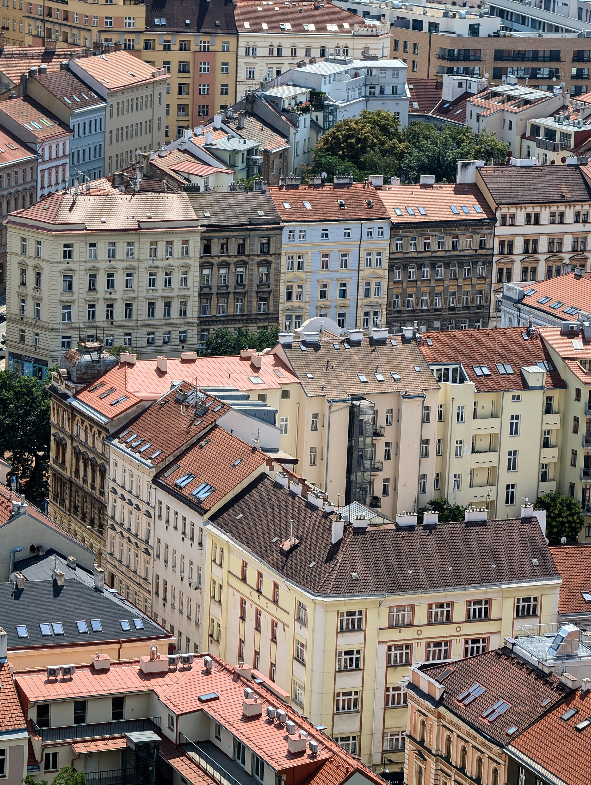 View from Vitkov