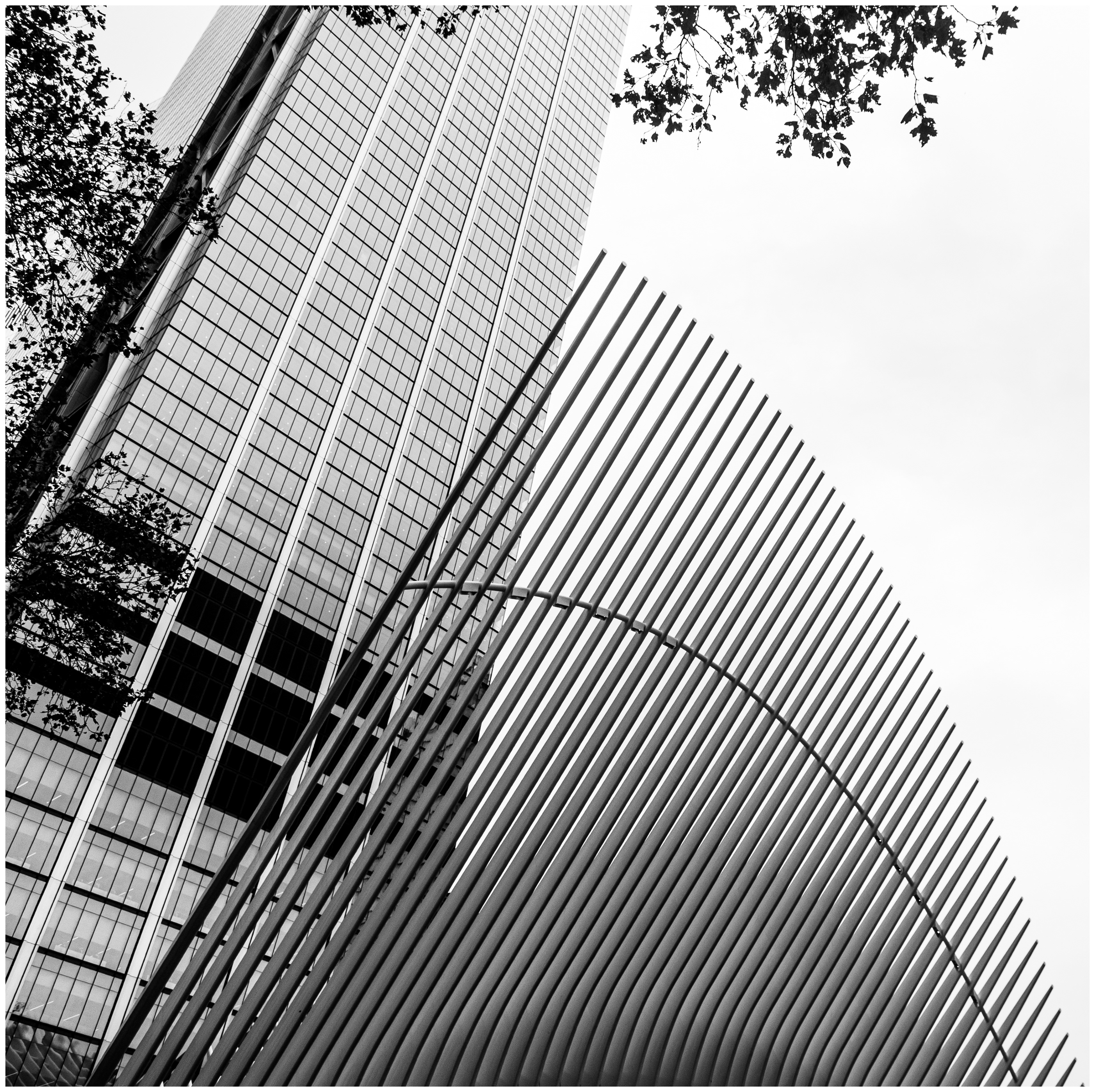 The Oculus, World Trade Center 