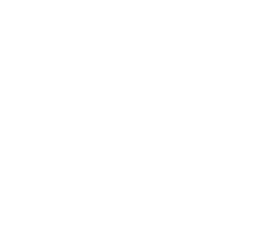 Leasha LaBruzzi, LLC