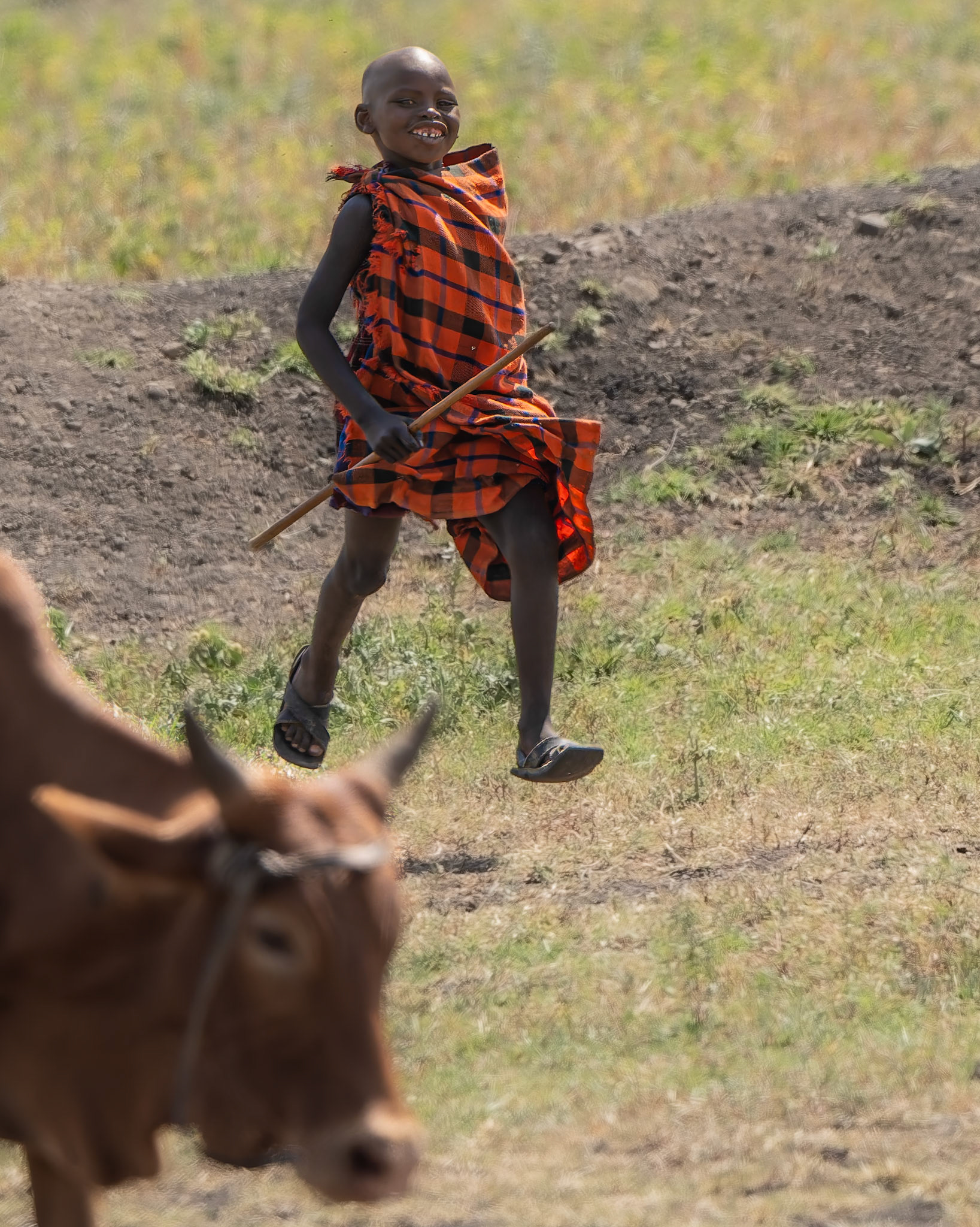 Petit berger Massai - Masai little herdkeeper