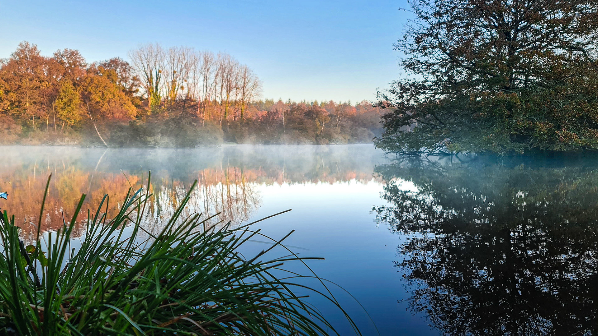 Etang de la Baronie - Saint Dolay (56)