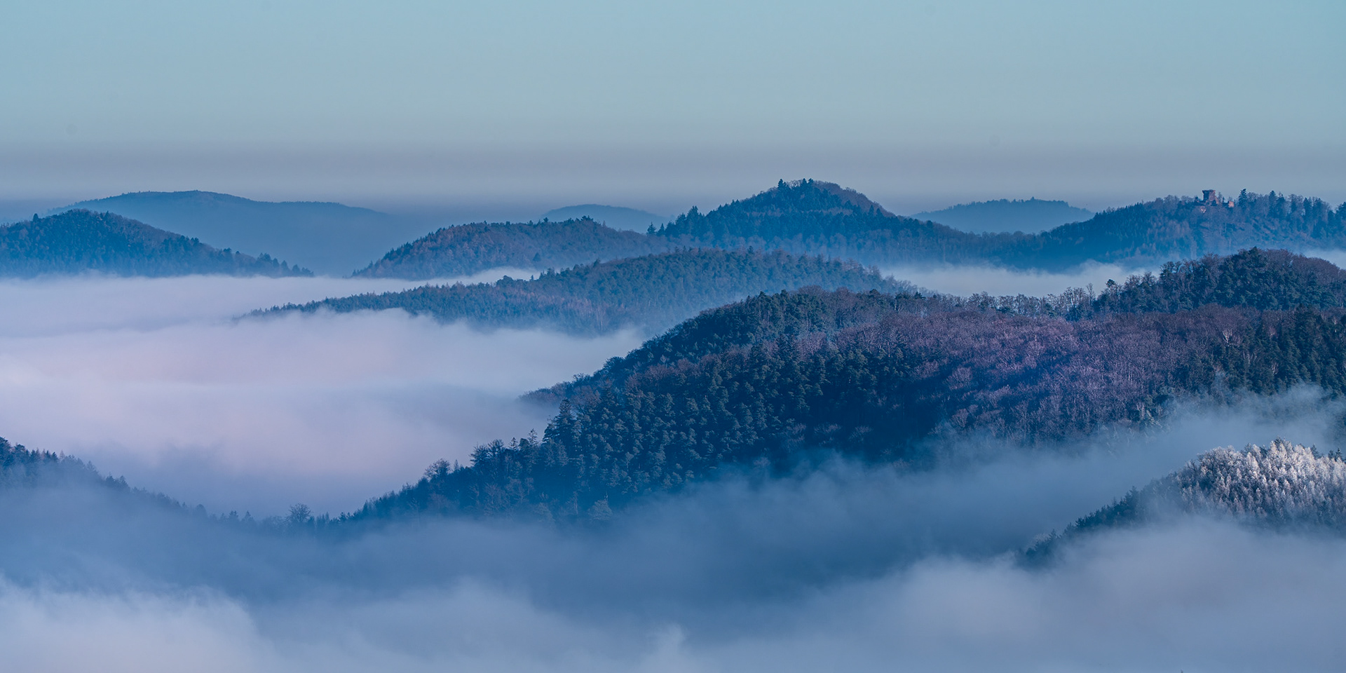Les Vosges vues du Grand Wintersberg