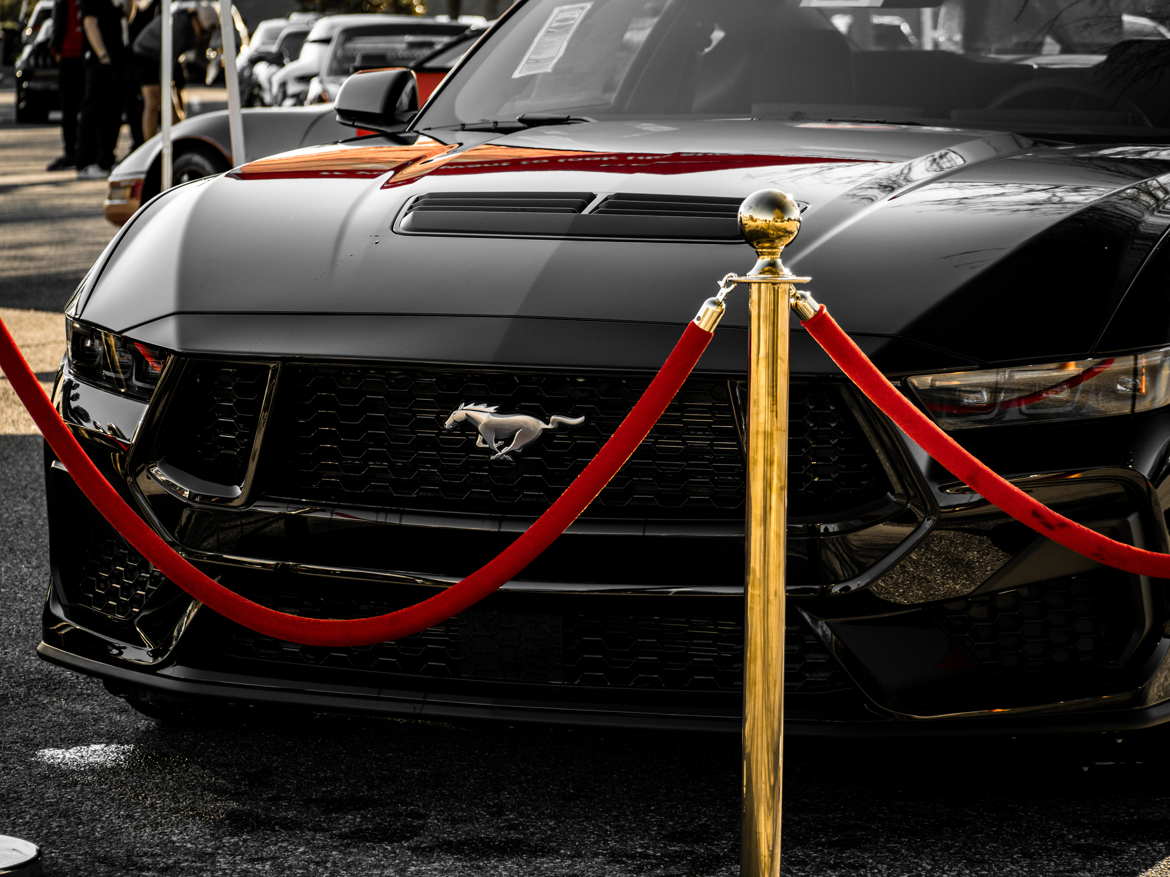 VIP only.