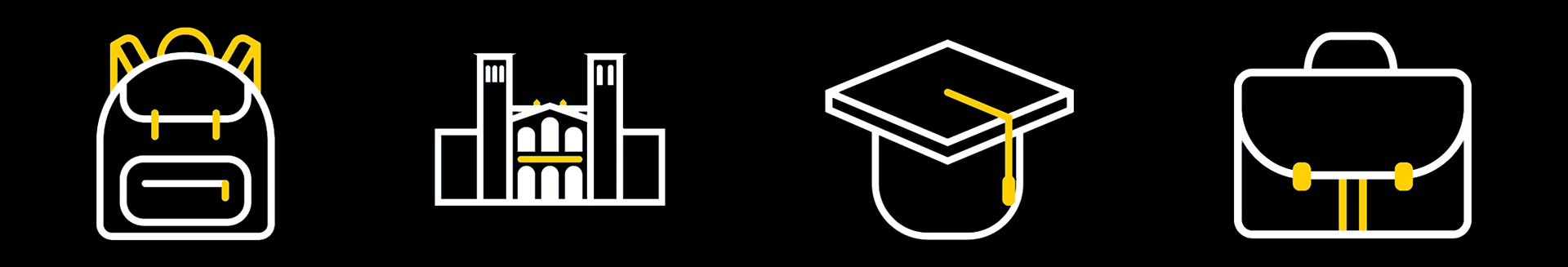 Custom vector iconography made in Adobe Illustrator