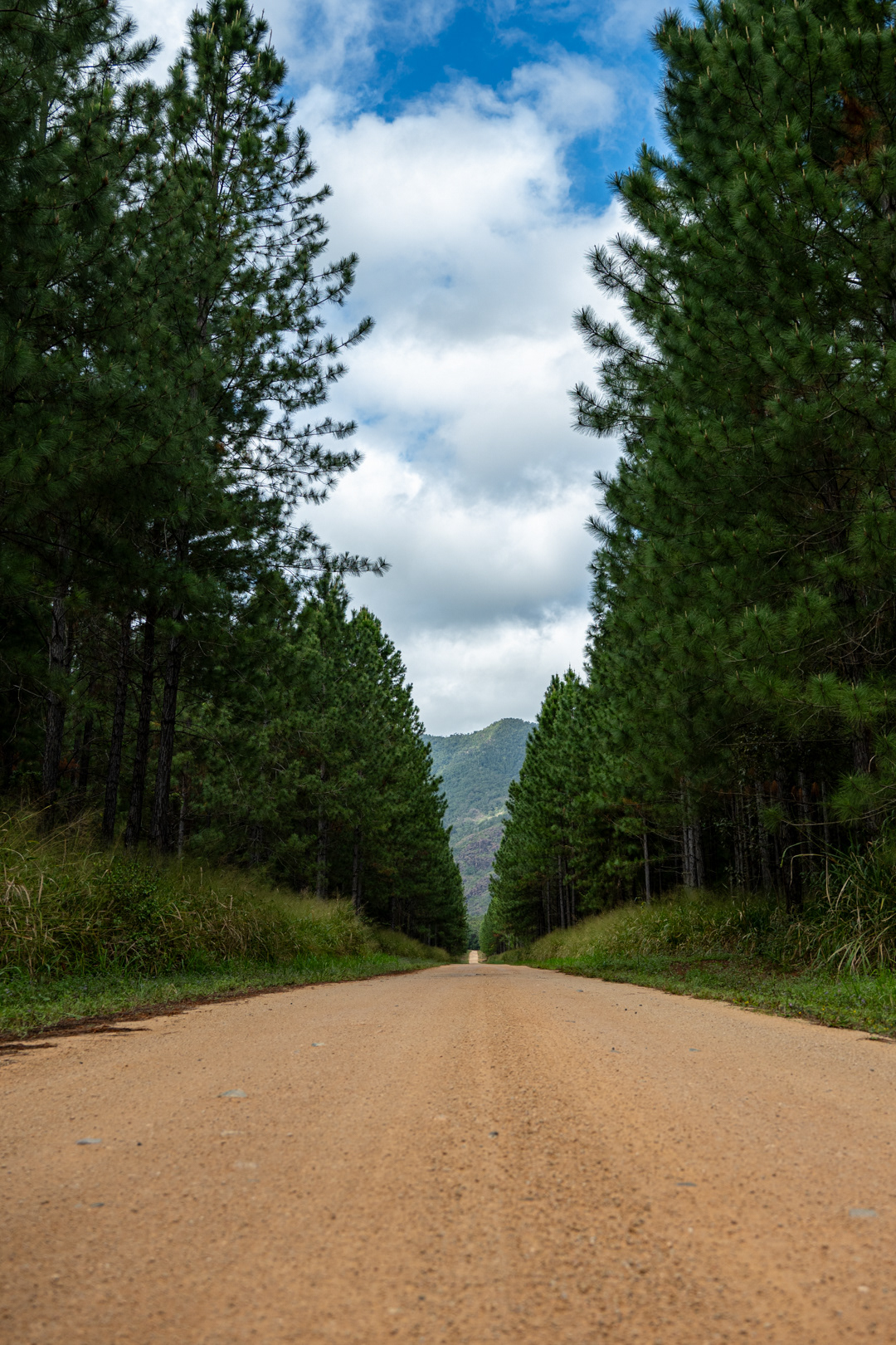 The road towards the Attie Creek Falls