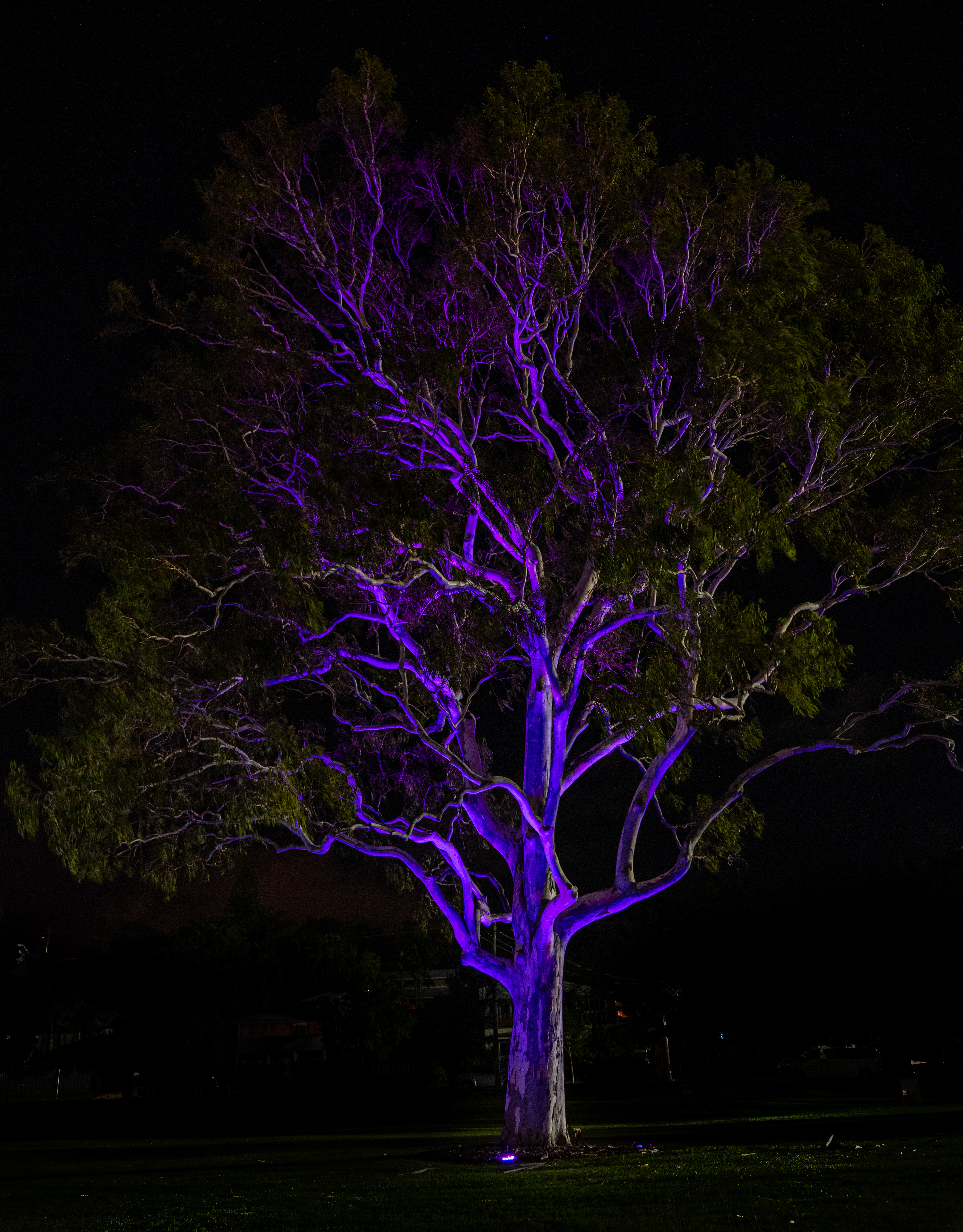 Anzac Park at night