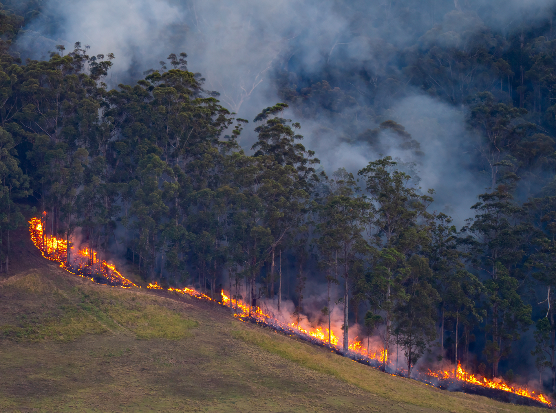 Burning off, view from Mountain View Lookout
