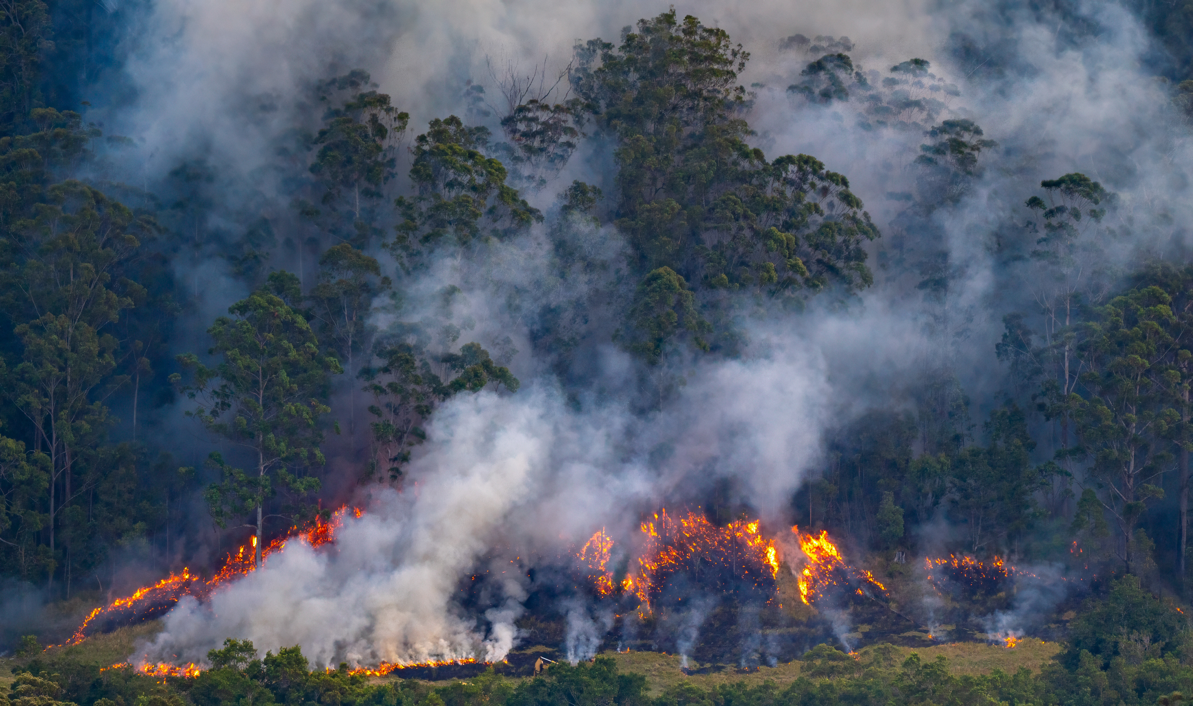 Burning off, view from Mountain View Lookout
