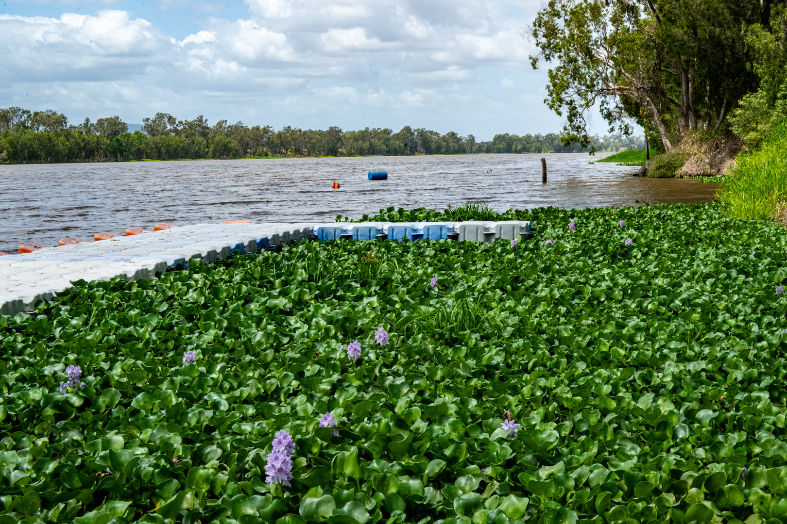 Rockhampton Ski Gardens Boat Ramp