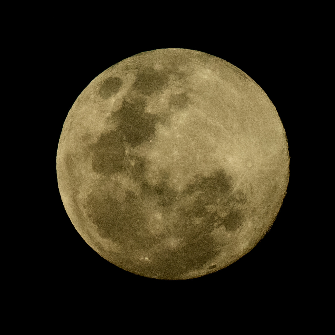 Full moon, 15/11/2024