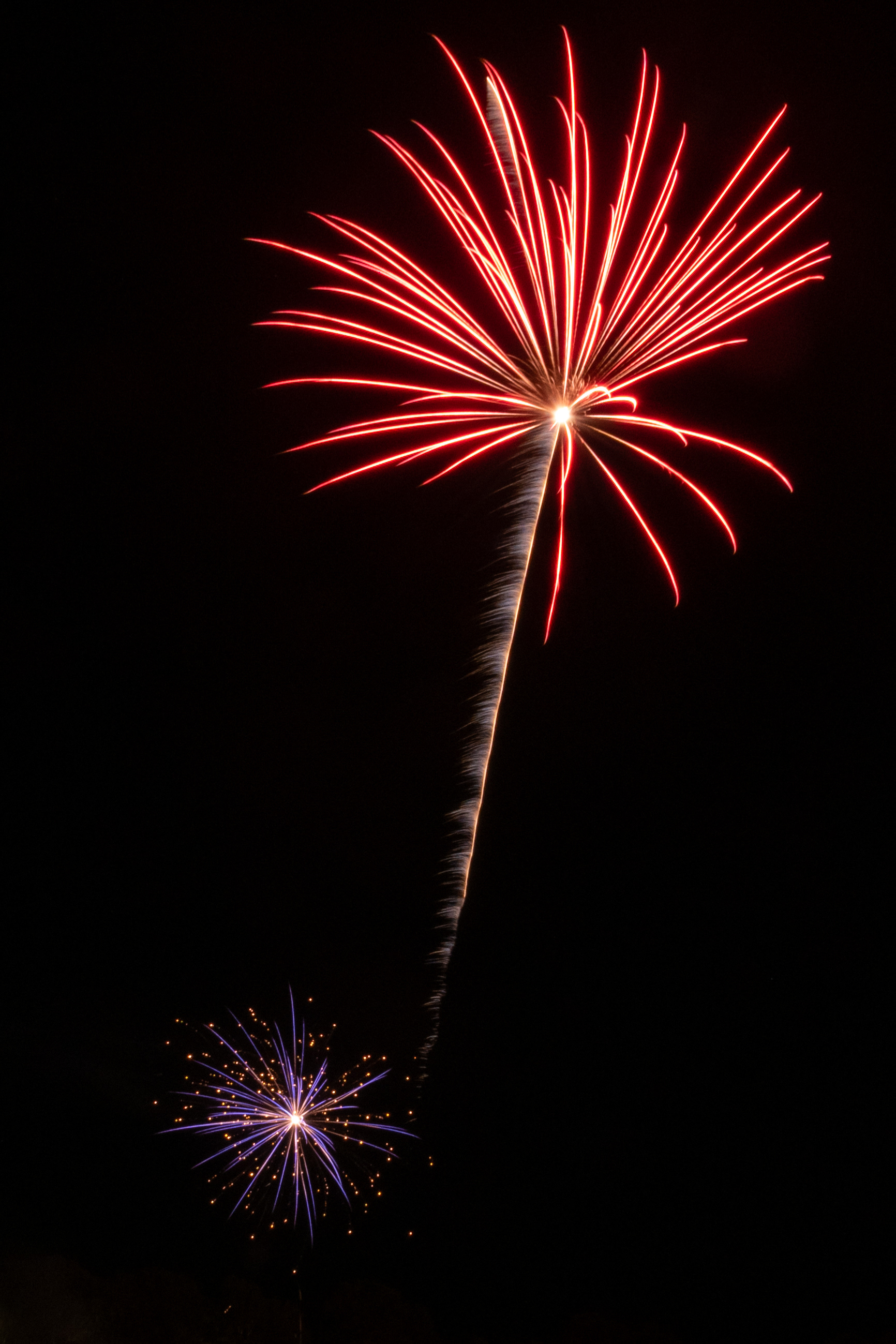 Harbour Festival 2024