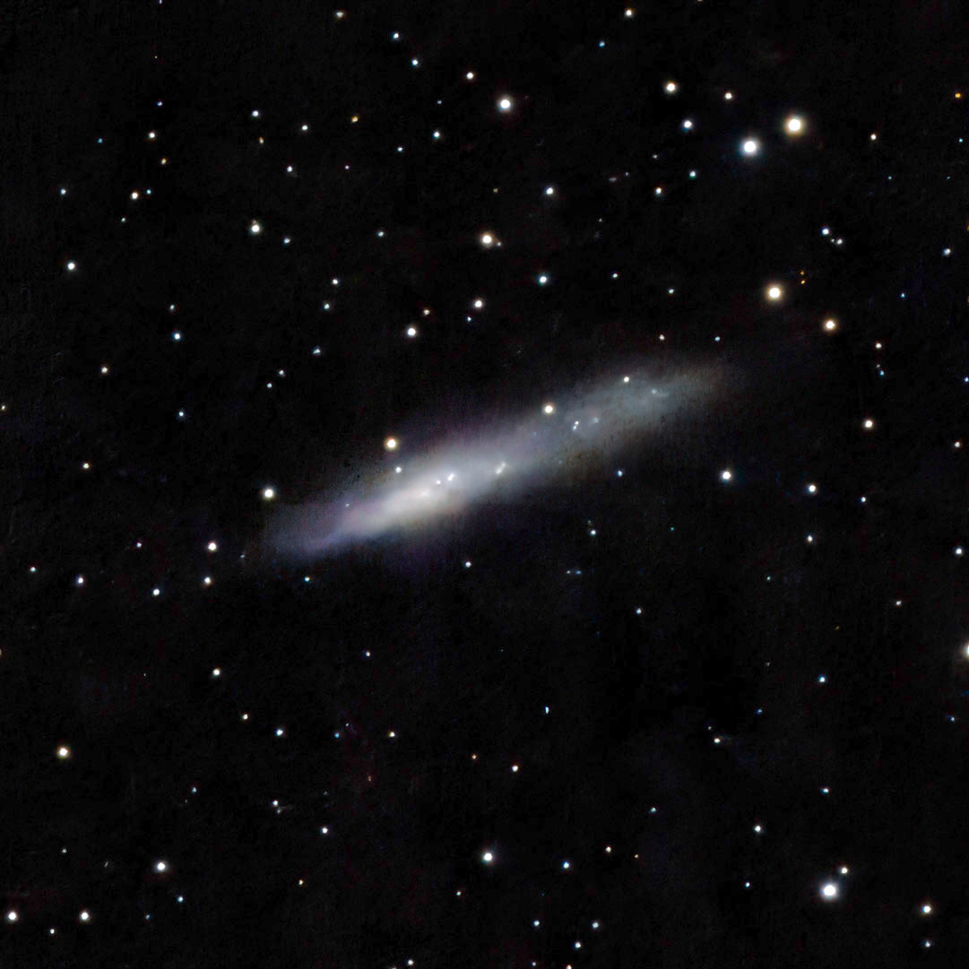 Caldwell 72 (NGC 55) Whale galaxy