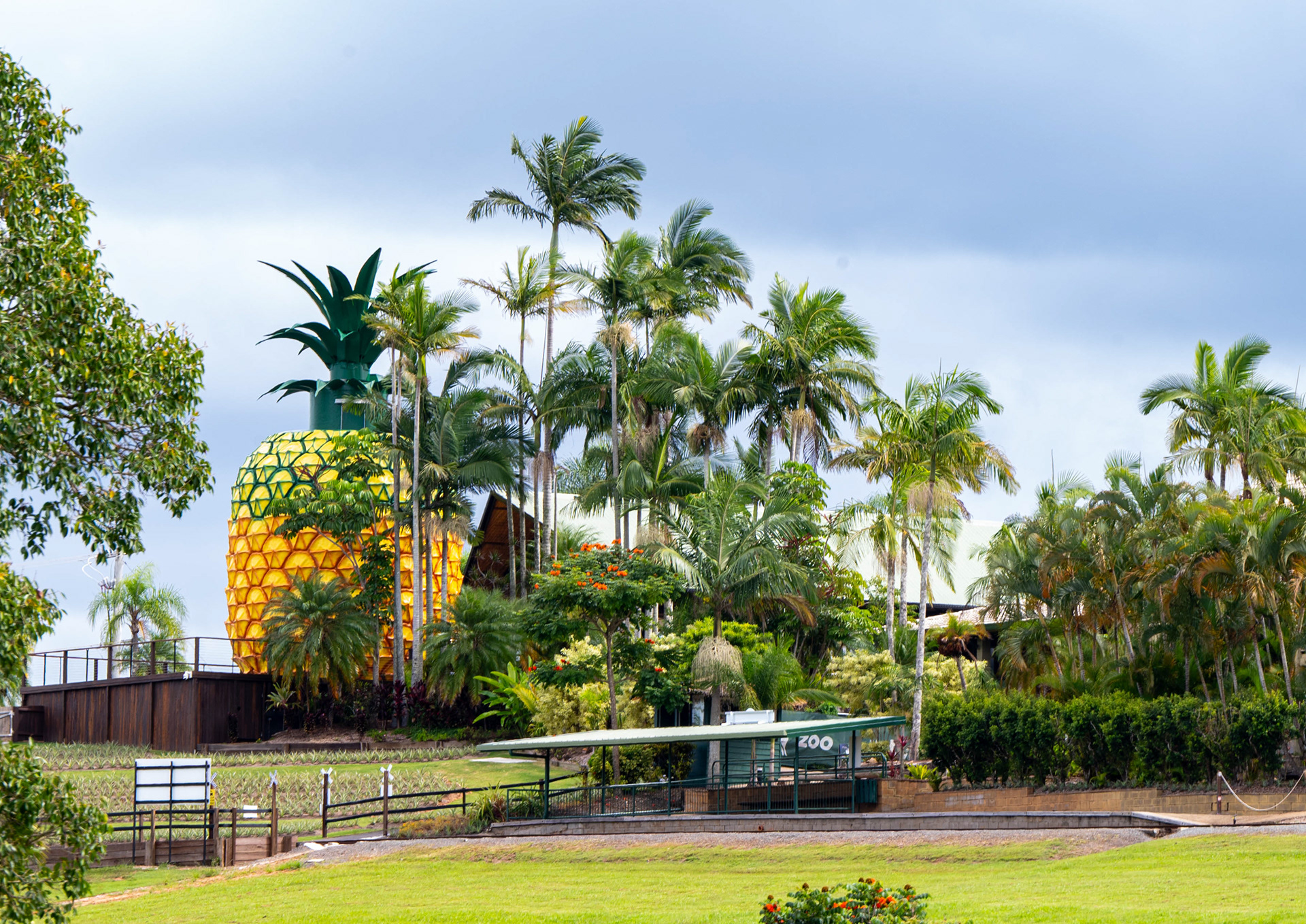 Big Pineapple, Nambor