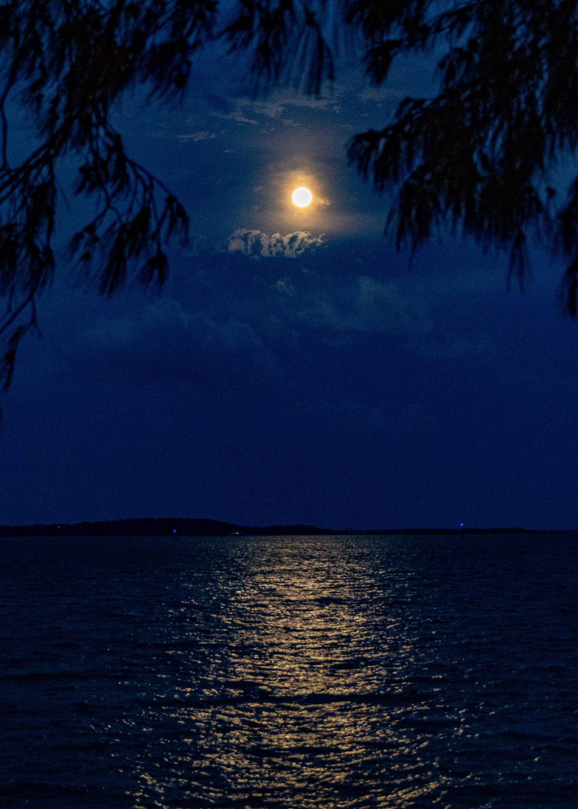 Full moon, 15/11/2024