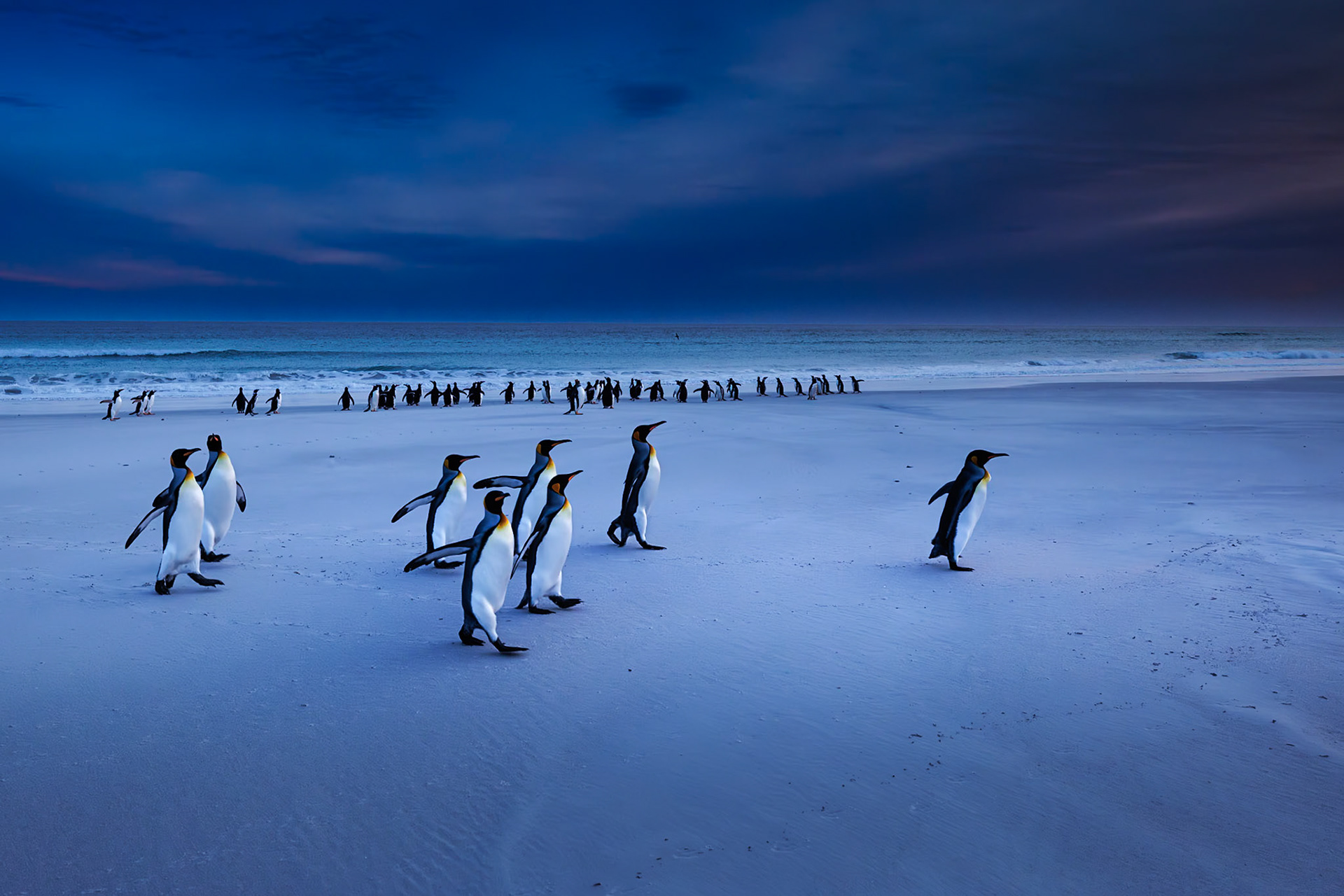 la plage de VOLUNTEER POINT