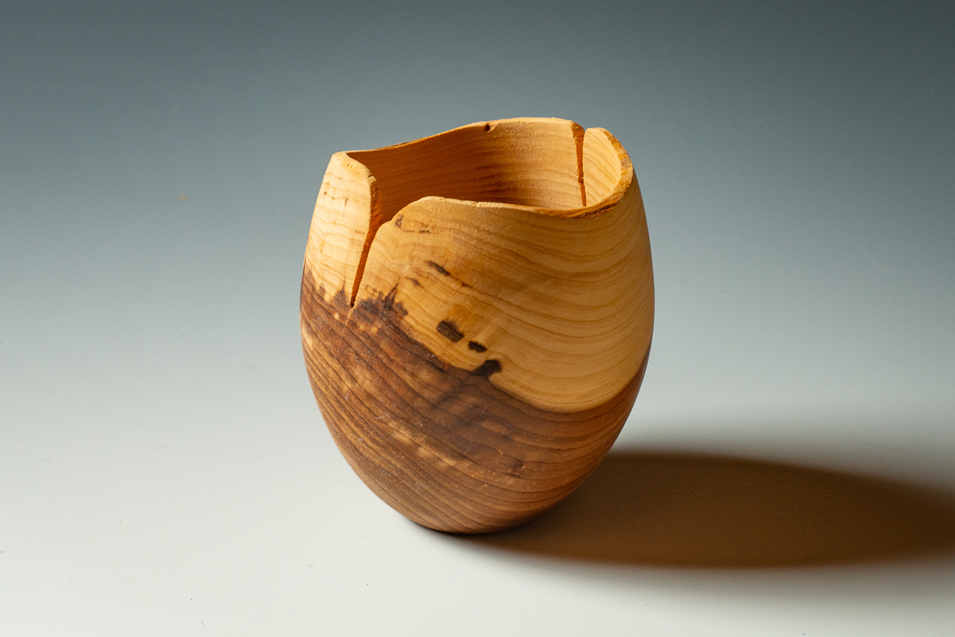 Small Red Cedar Natural Edge Vase - 3" X 3 1/2" - $30