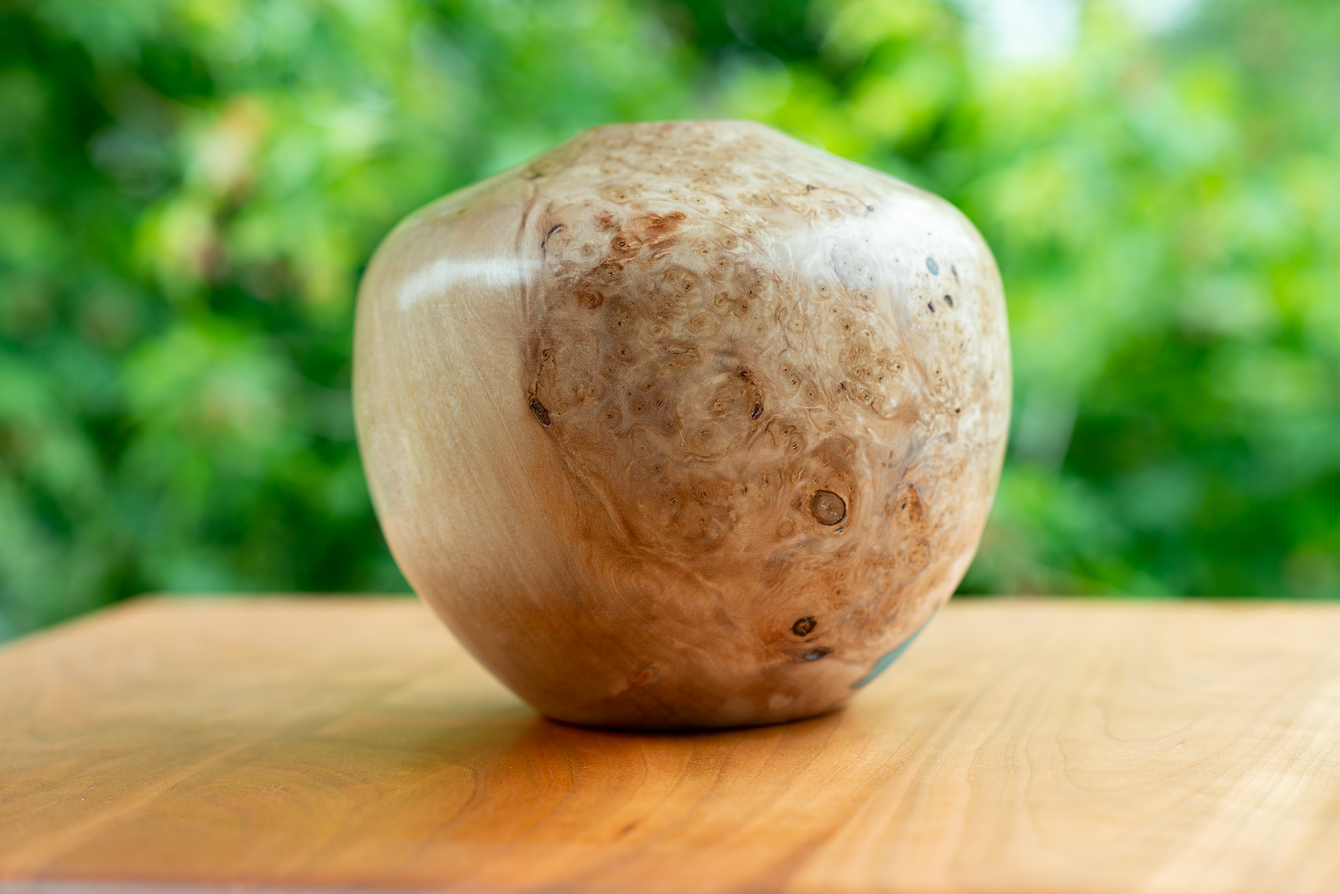 Big Leaf Maple Burl Hollow form - 6" x 6" - $150