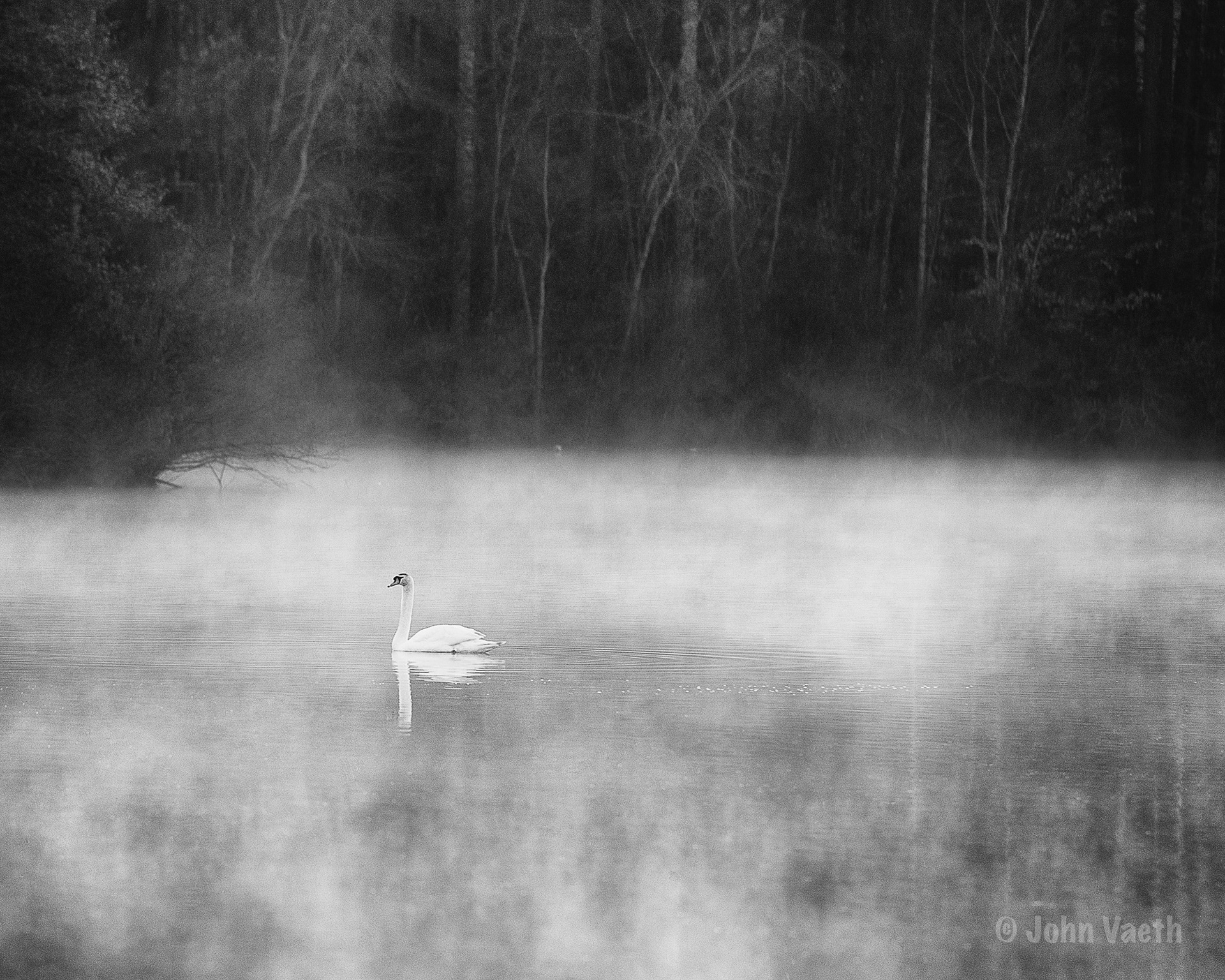 Lake Lynn