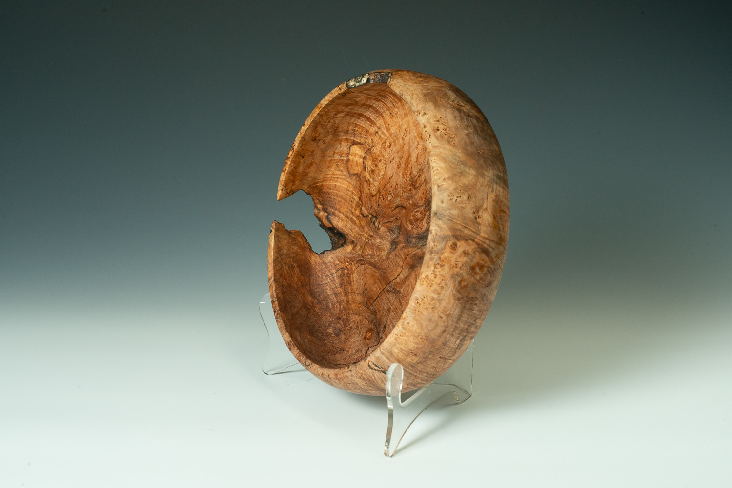 Big Leaf Maple Burl bowl - 9 1/2" X 3" - $110