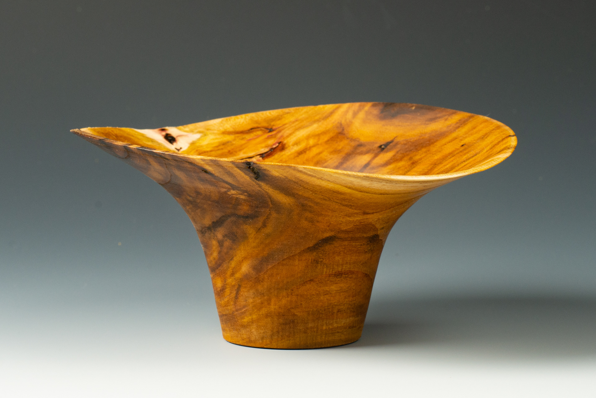 Eastern Redbud - 7" x 3" - $85