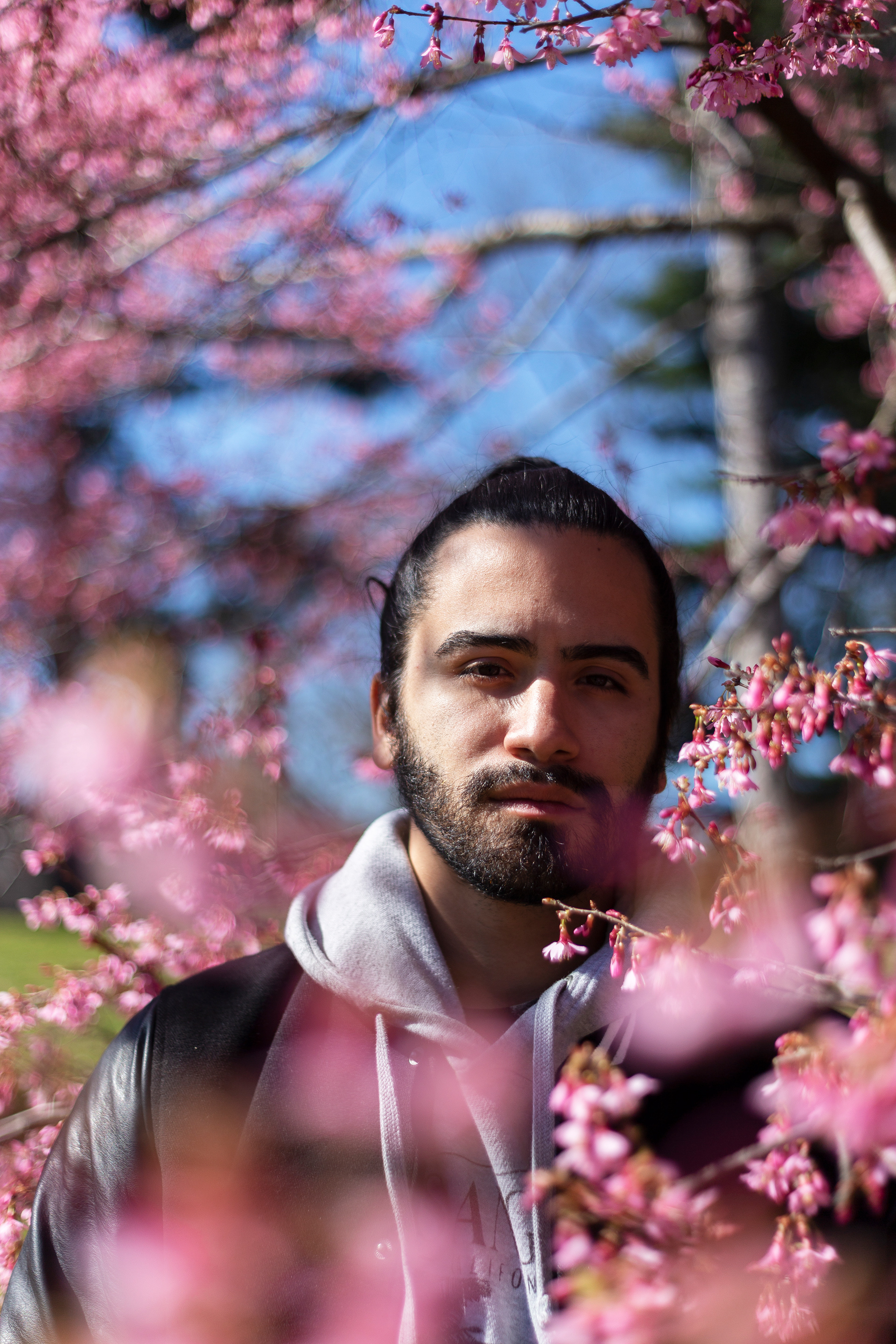 Spring is here! | Jomar Malave in Central Park, New York City