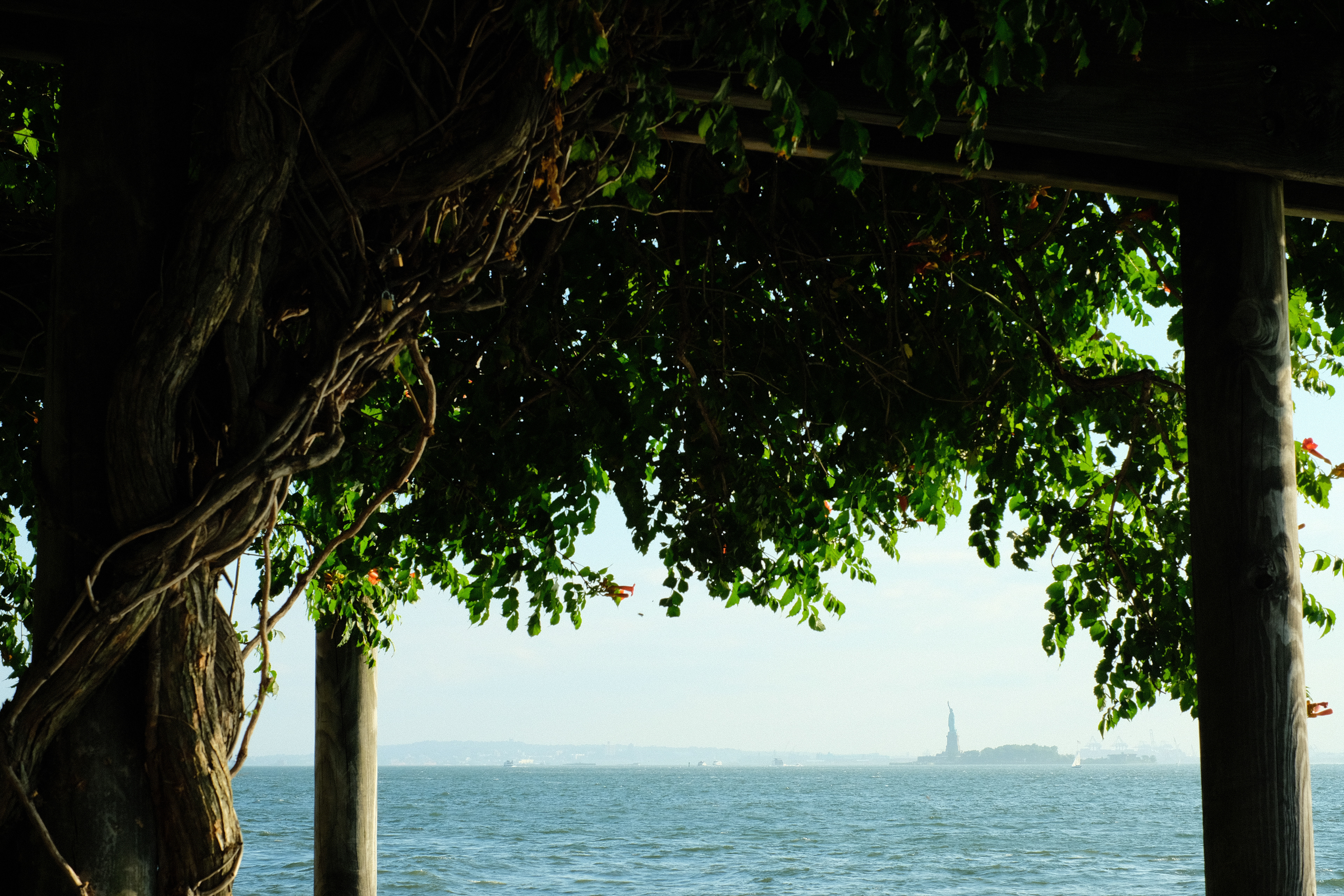 Green and blue and Liberty