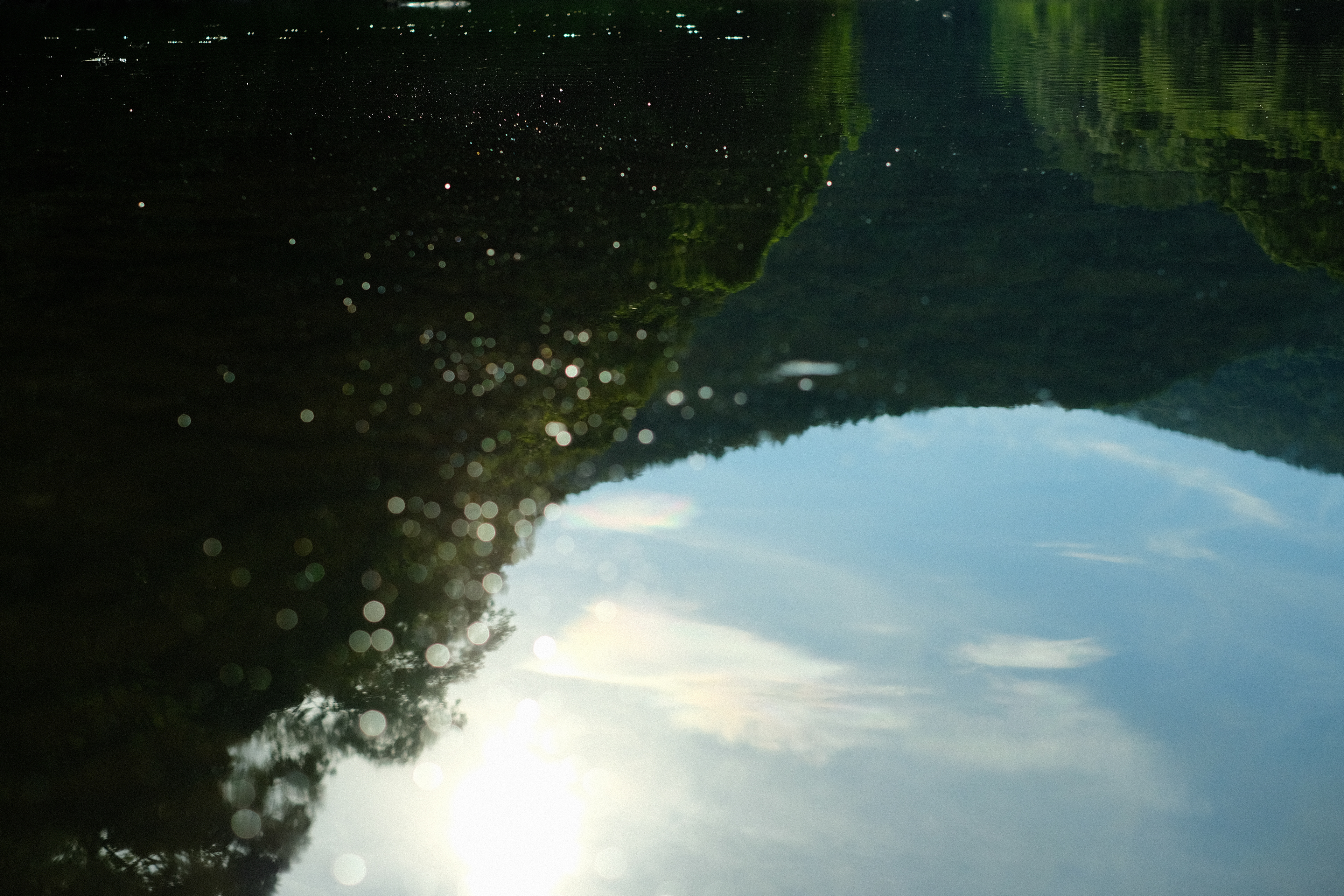Reflection of the sky and the forest in the river